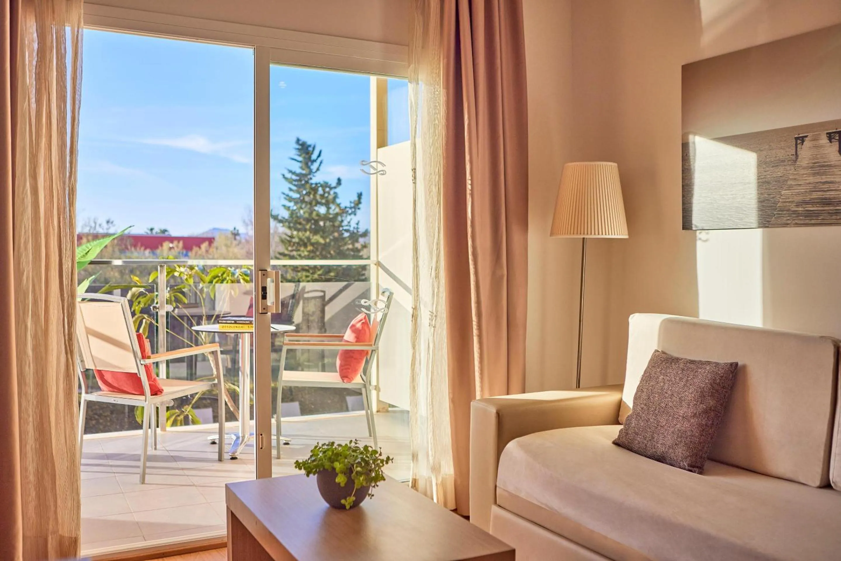 Photo of the whole room in Zafiro Tropic