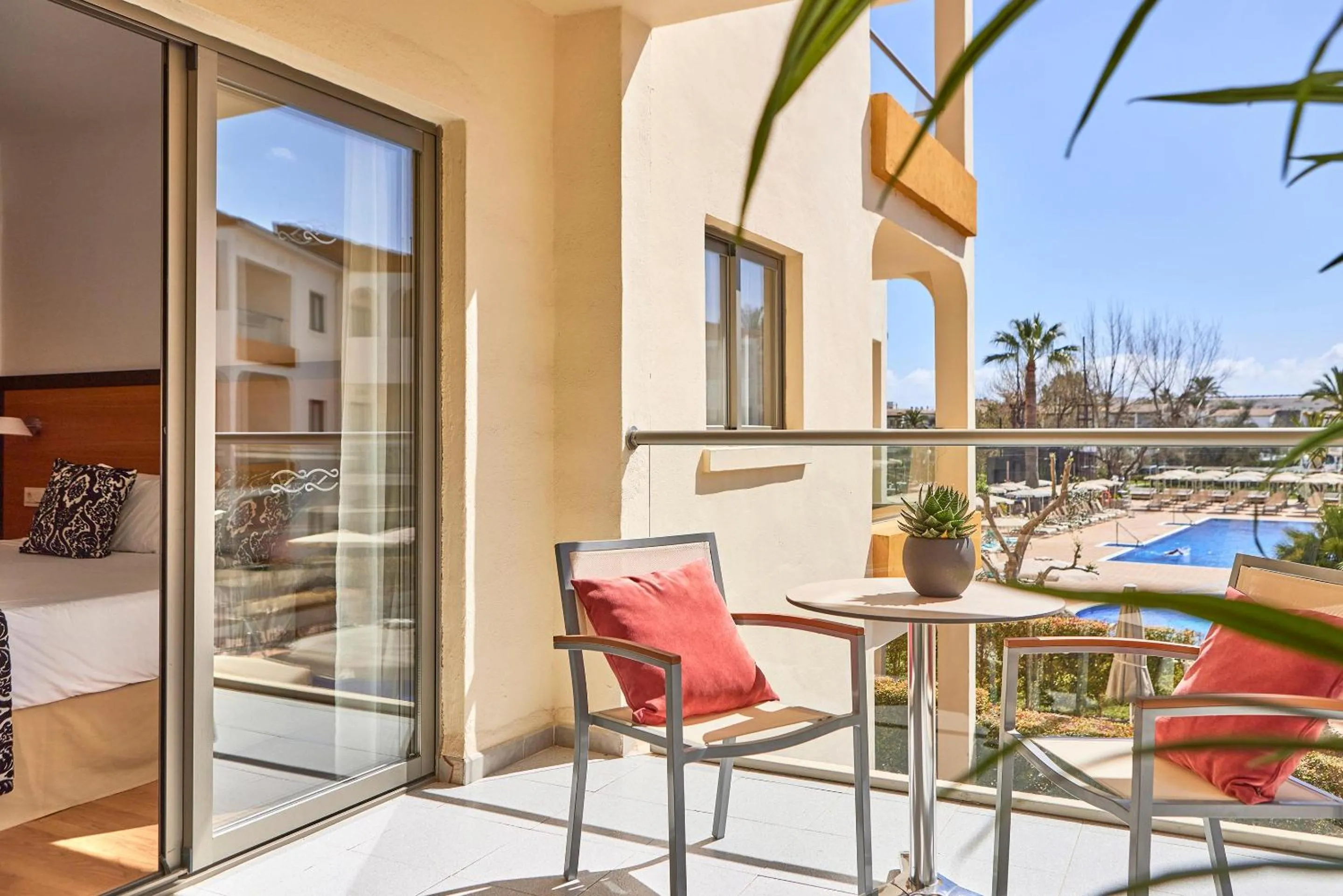 Photo of the whole room in Zafiro Tropic