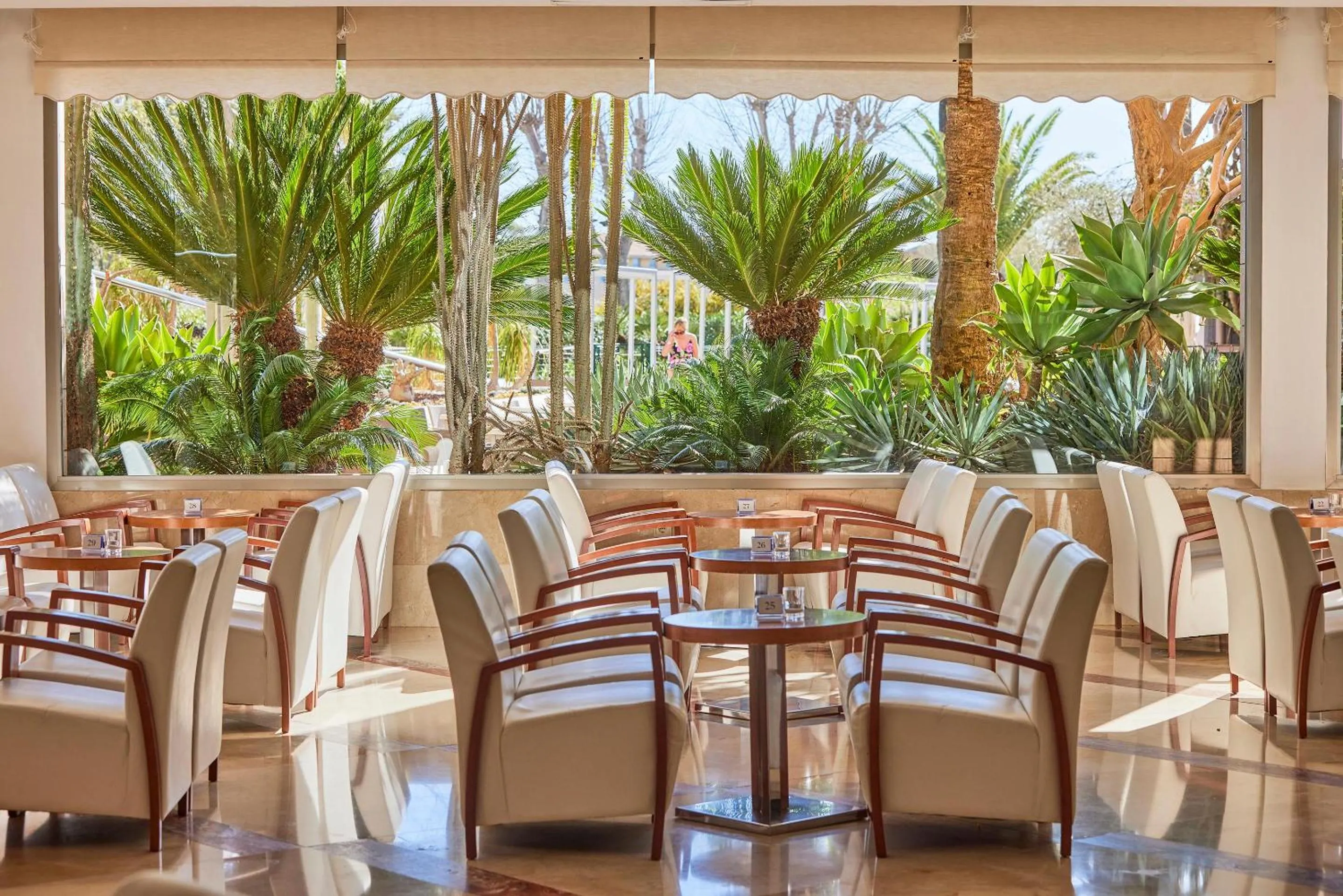 Meeting/conference room in Zafiro Tropic