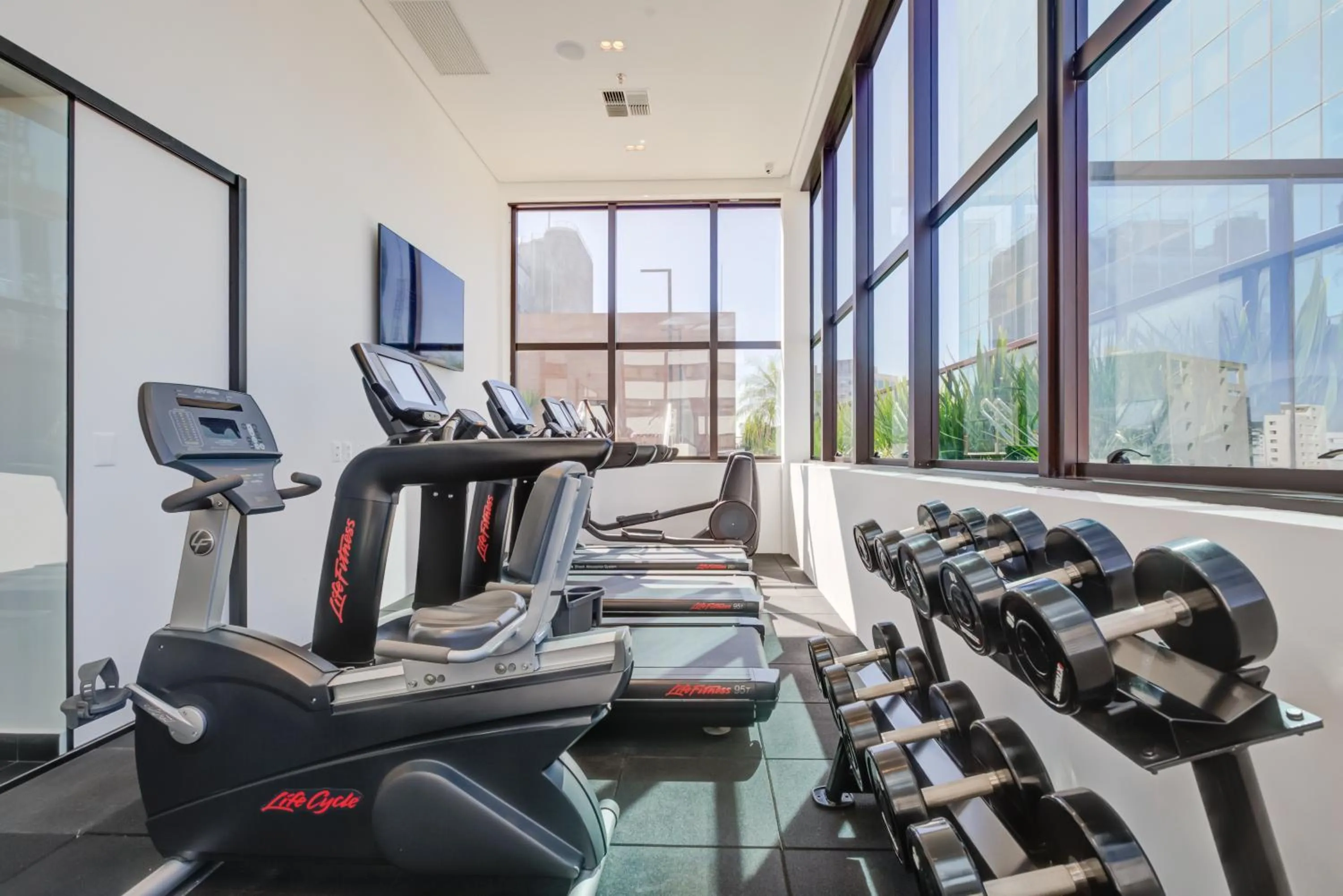 Fitness centre/facilities in Qoya São Paulo Paulista, Curio Collection by Hilton