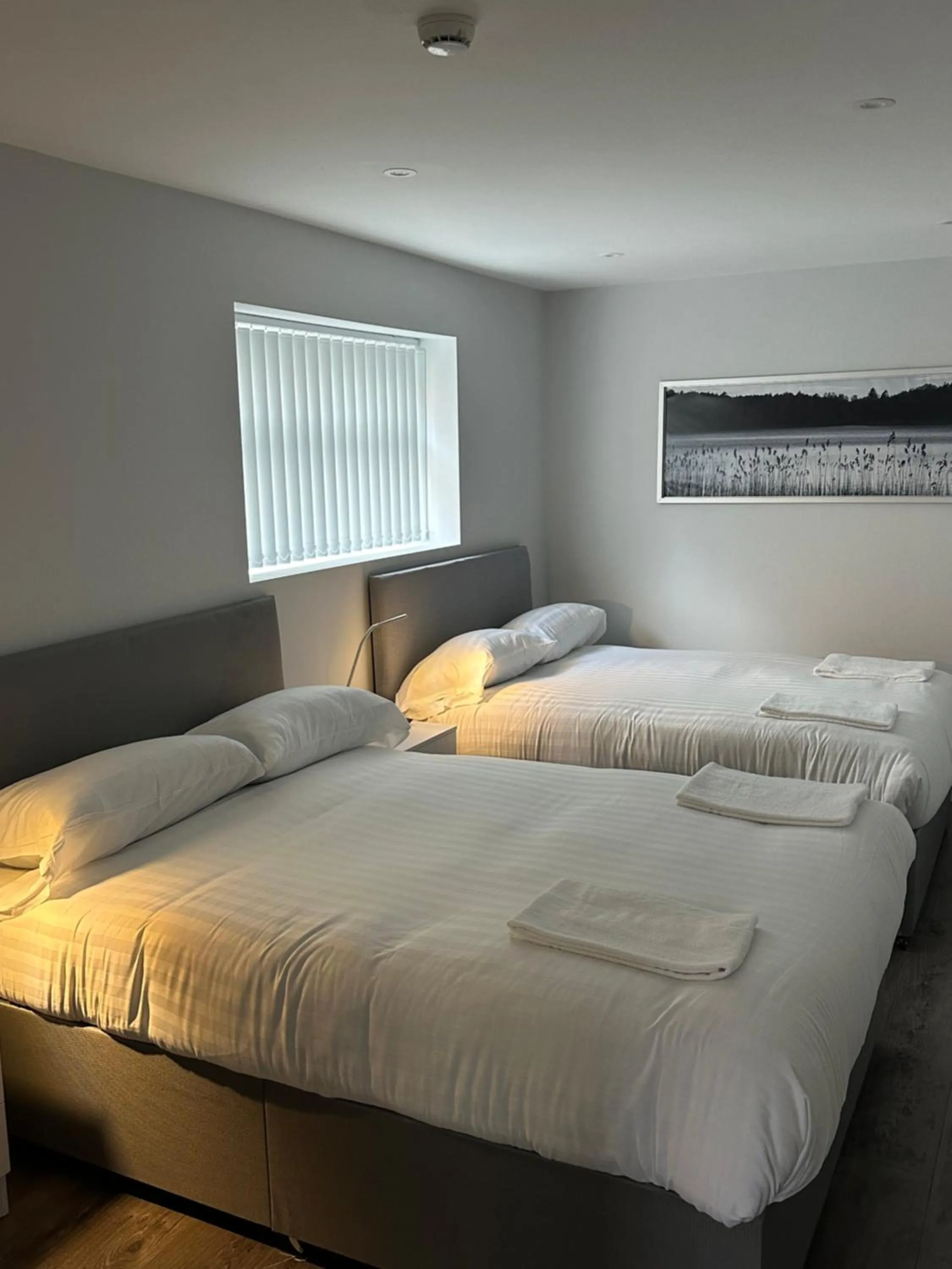 Smeaton street rooms