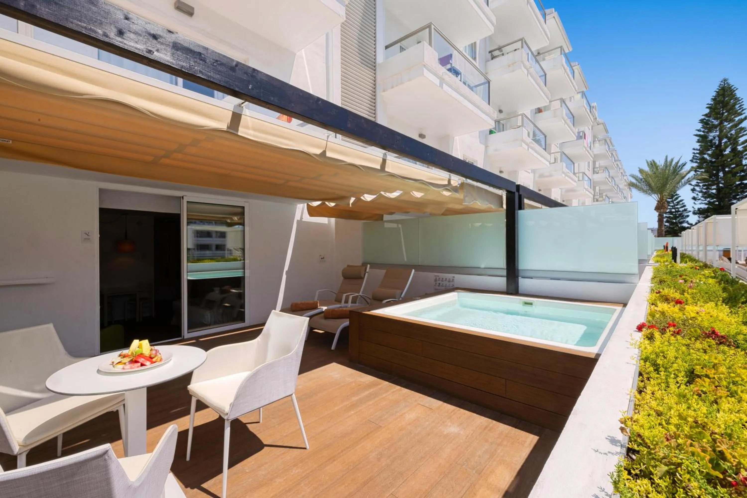 Photo of the whole room in VIVA Sunrise