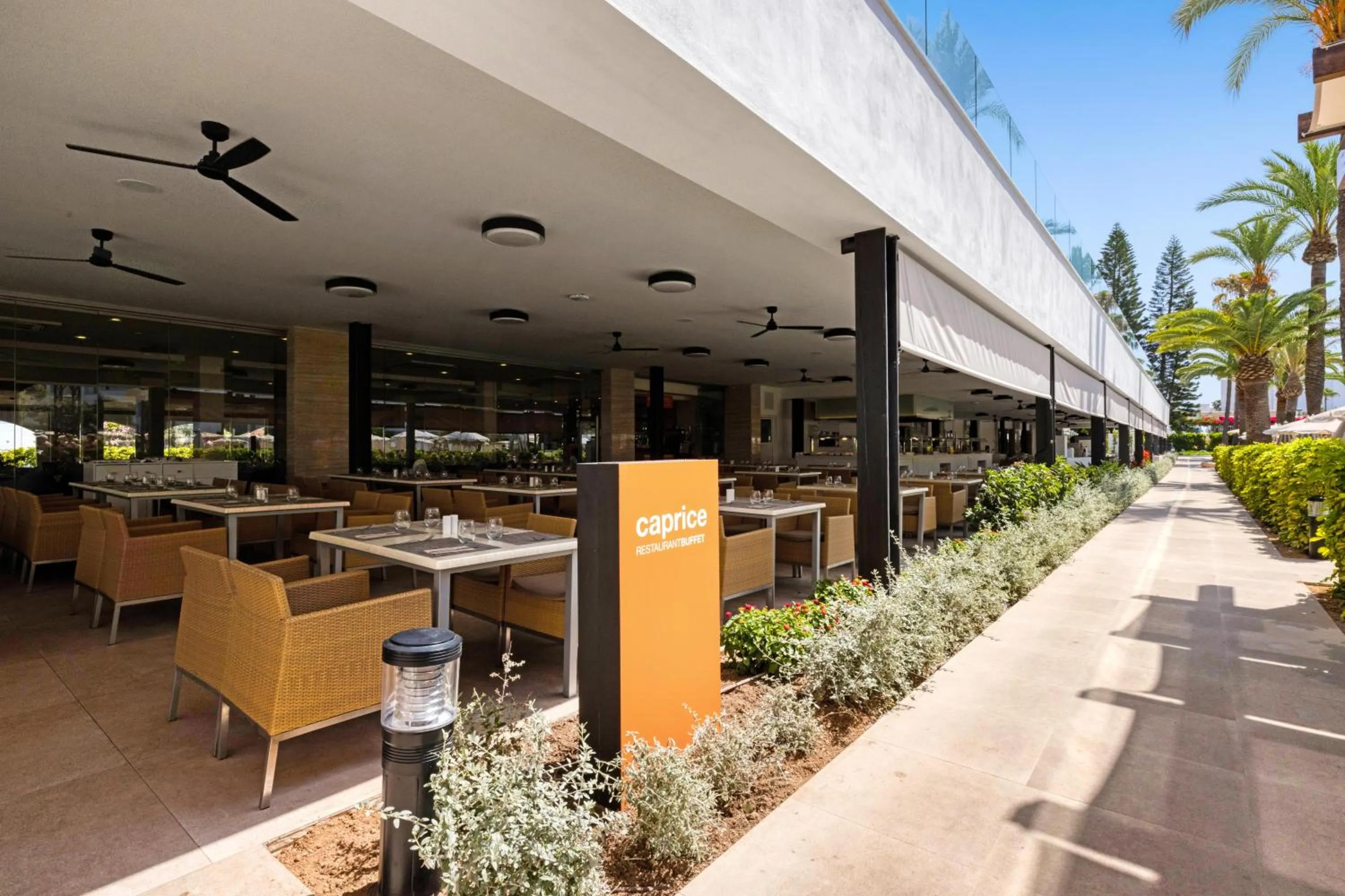 Lounge or bar in VIVA Sunrise