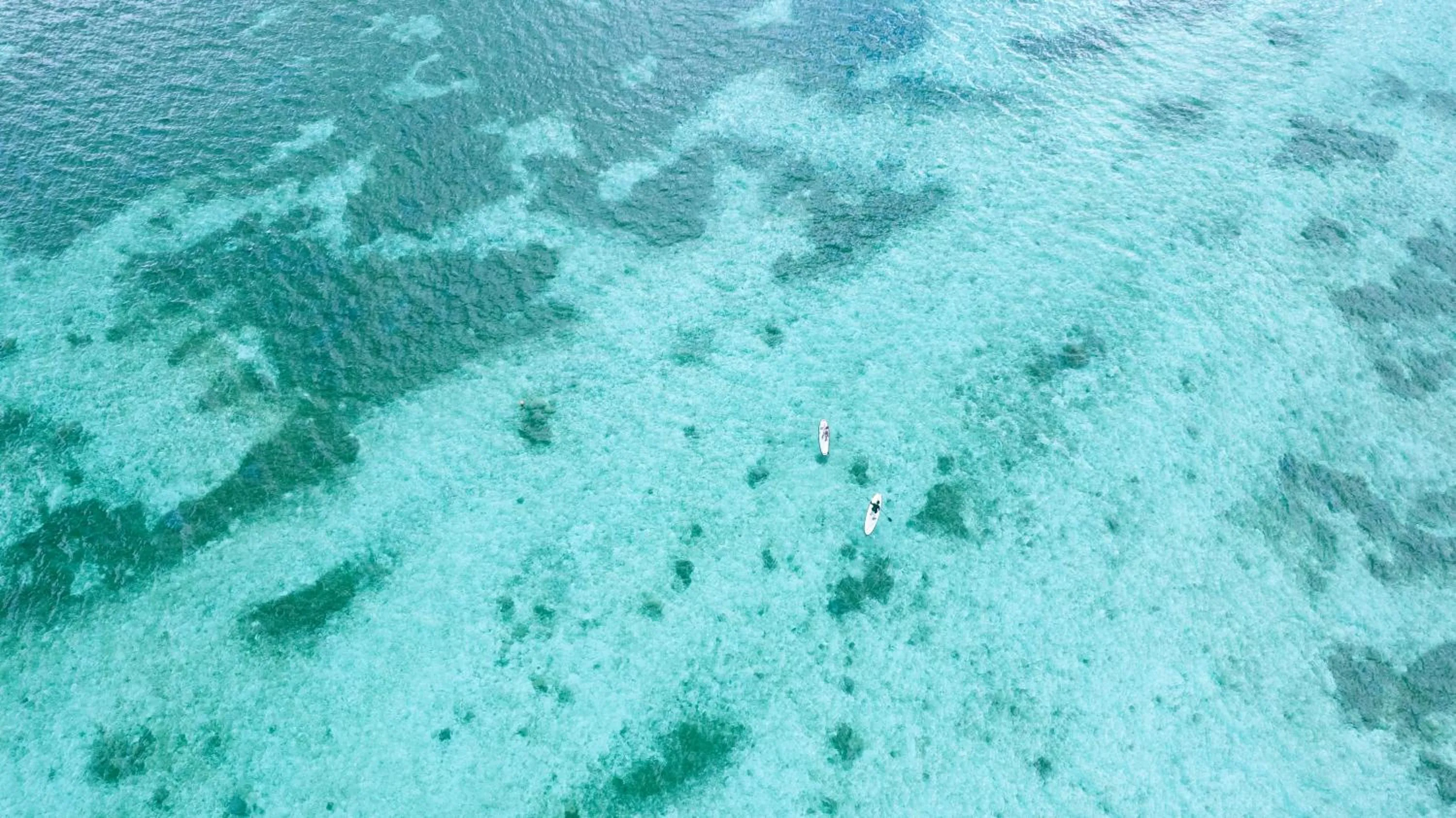 Off site in KOURI VILLA Indigo