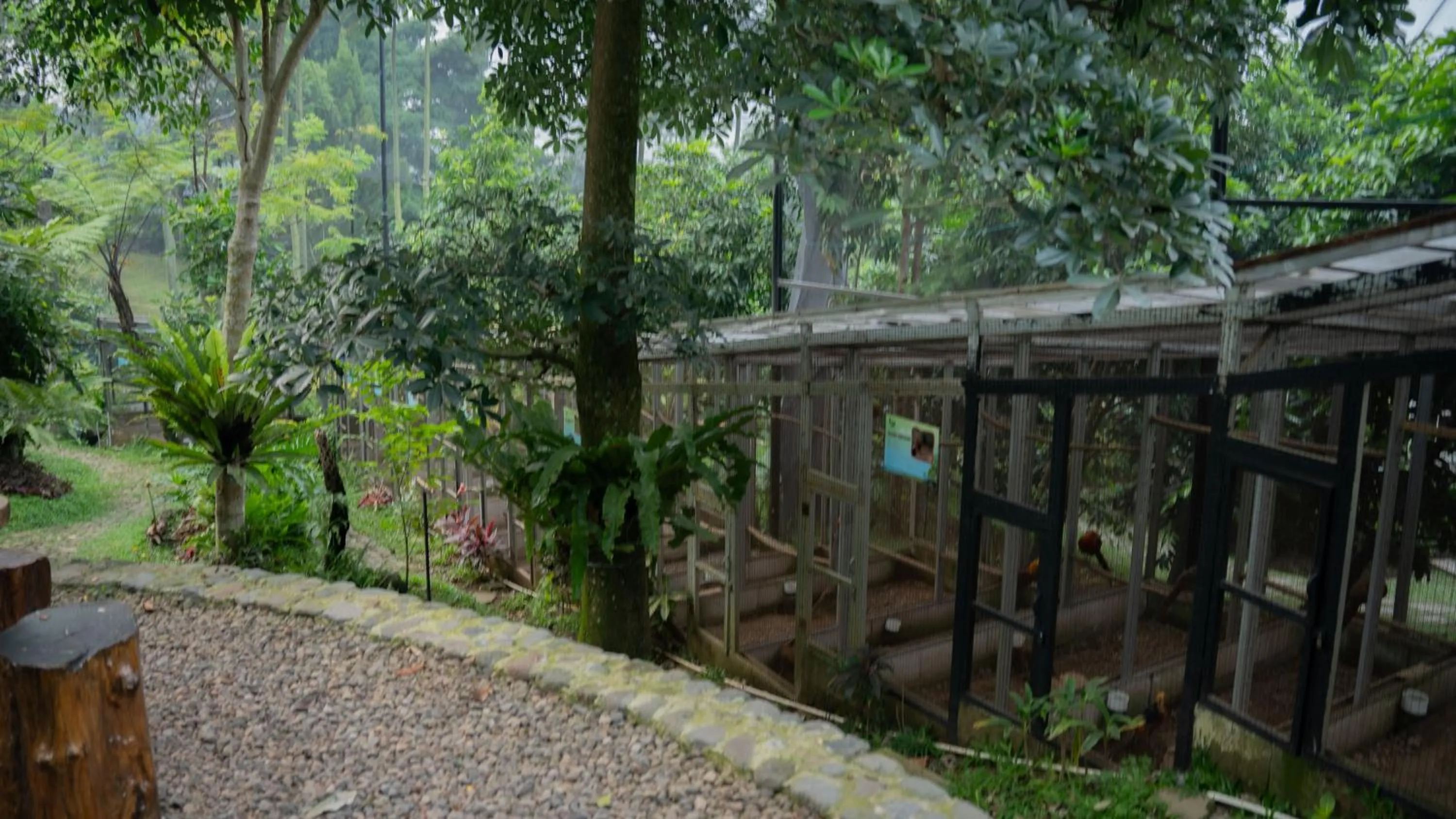 Spring in Leuweung Geledegan Ecoldge