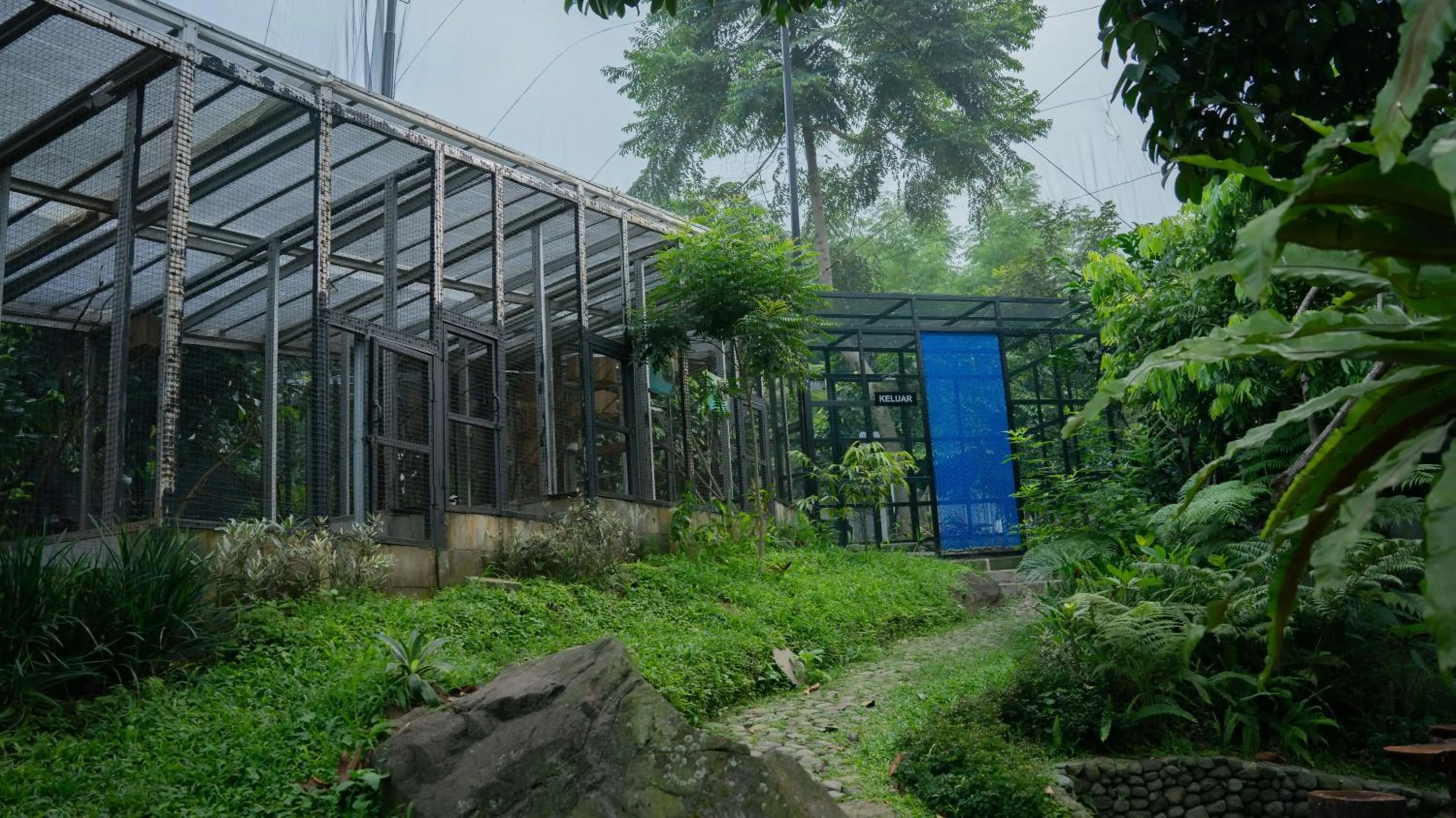 Spring in Leuweung Geledegan Ecoldge