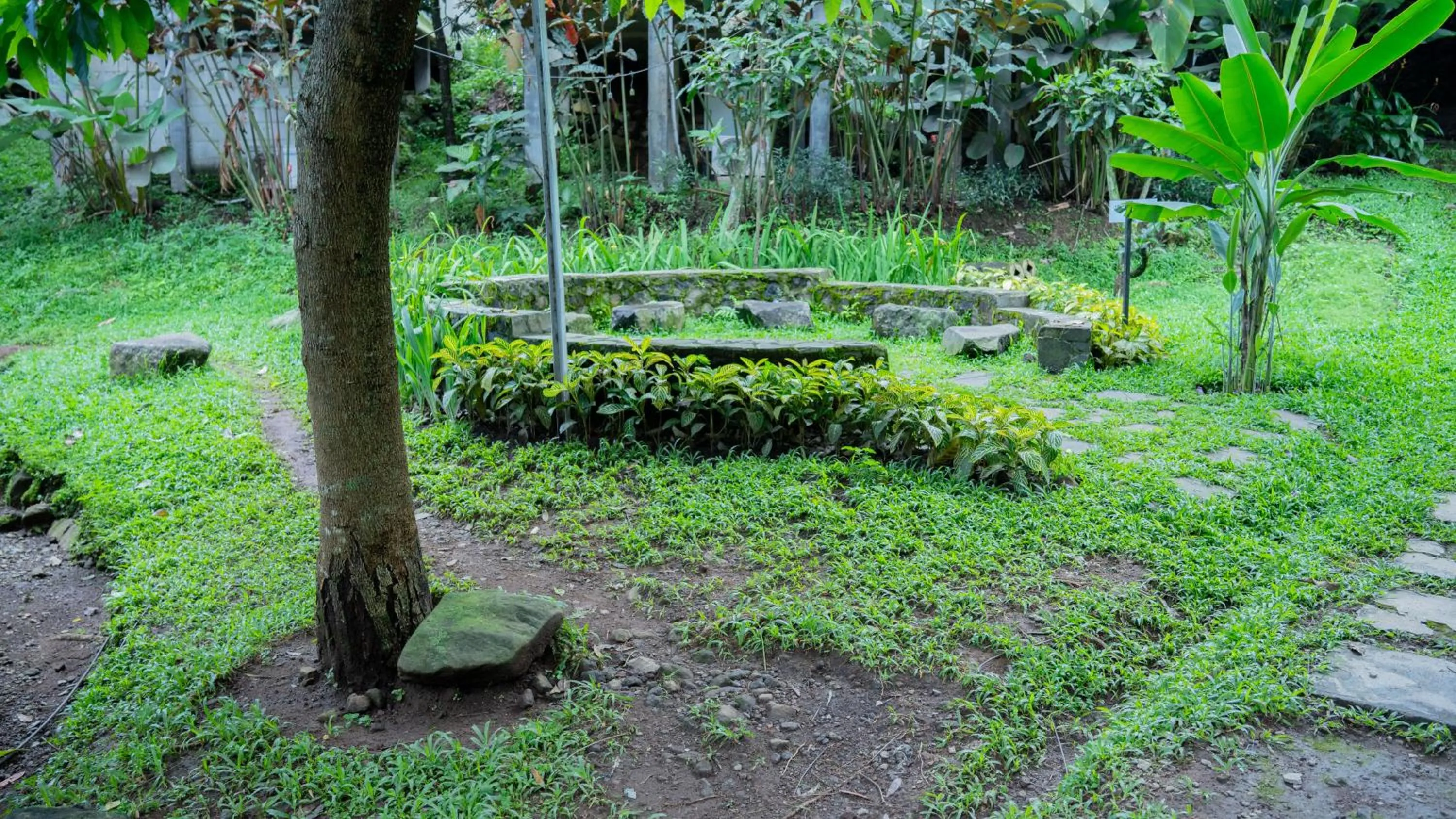 Spring in Leuweung Geledegan Ecoldge