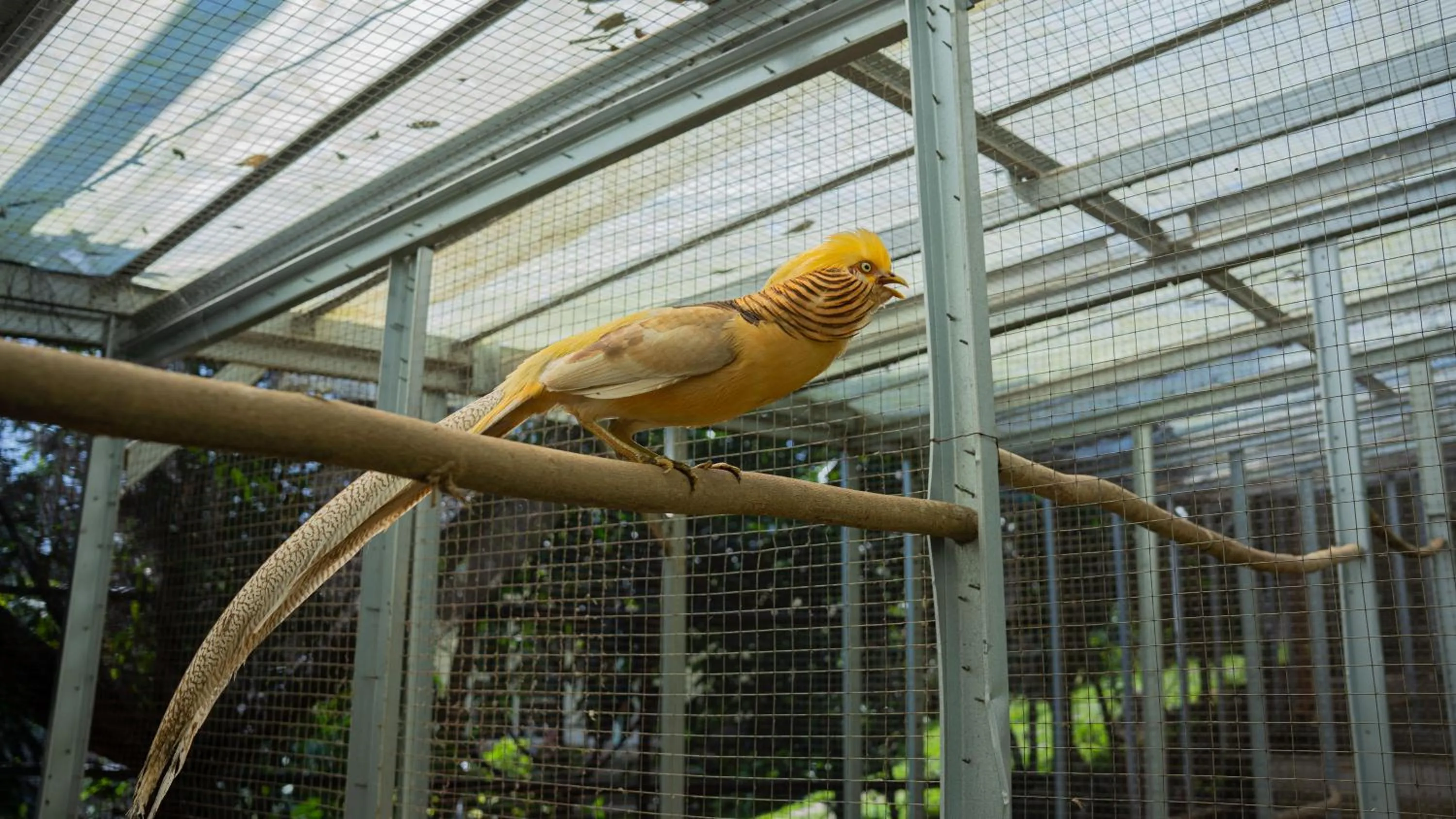 Day in Leuweung Geledegan Ecoldge