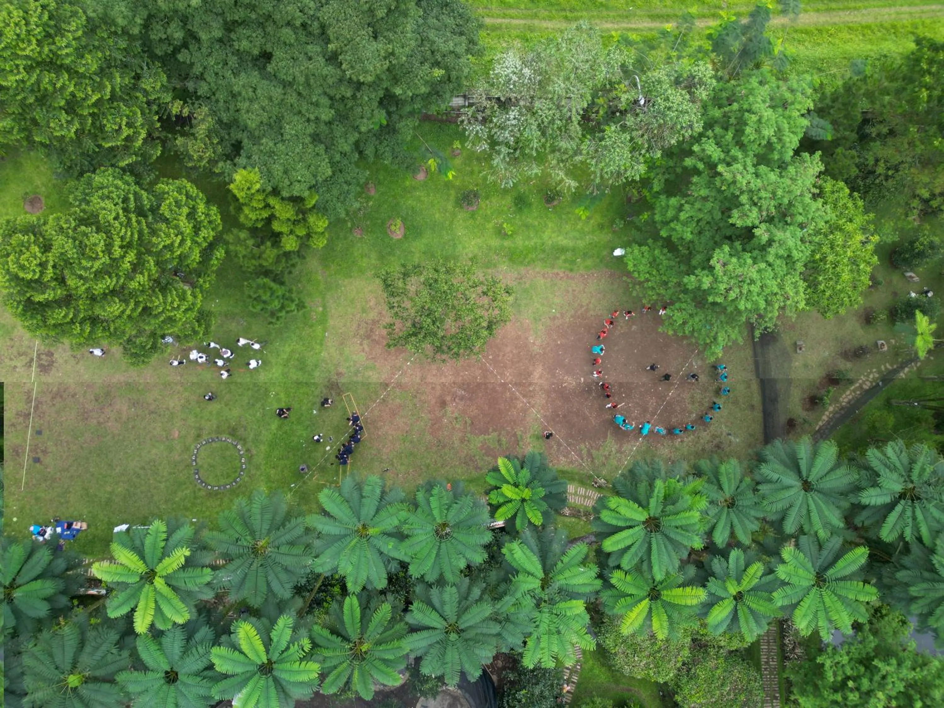 Spring in Leuweung Geledegan Ecoldge