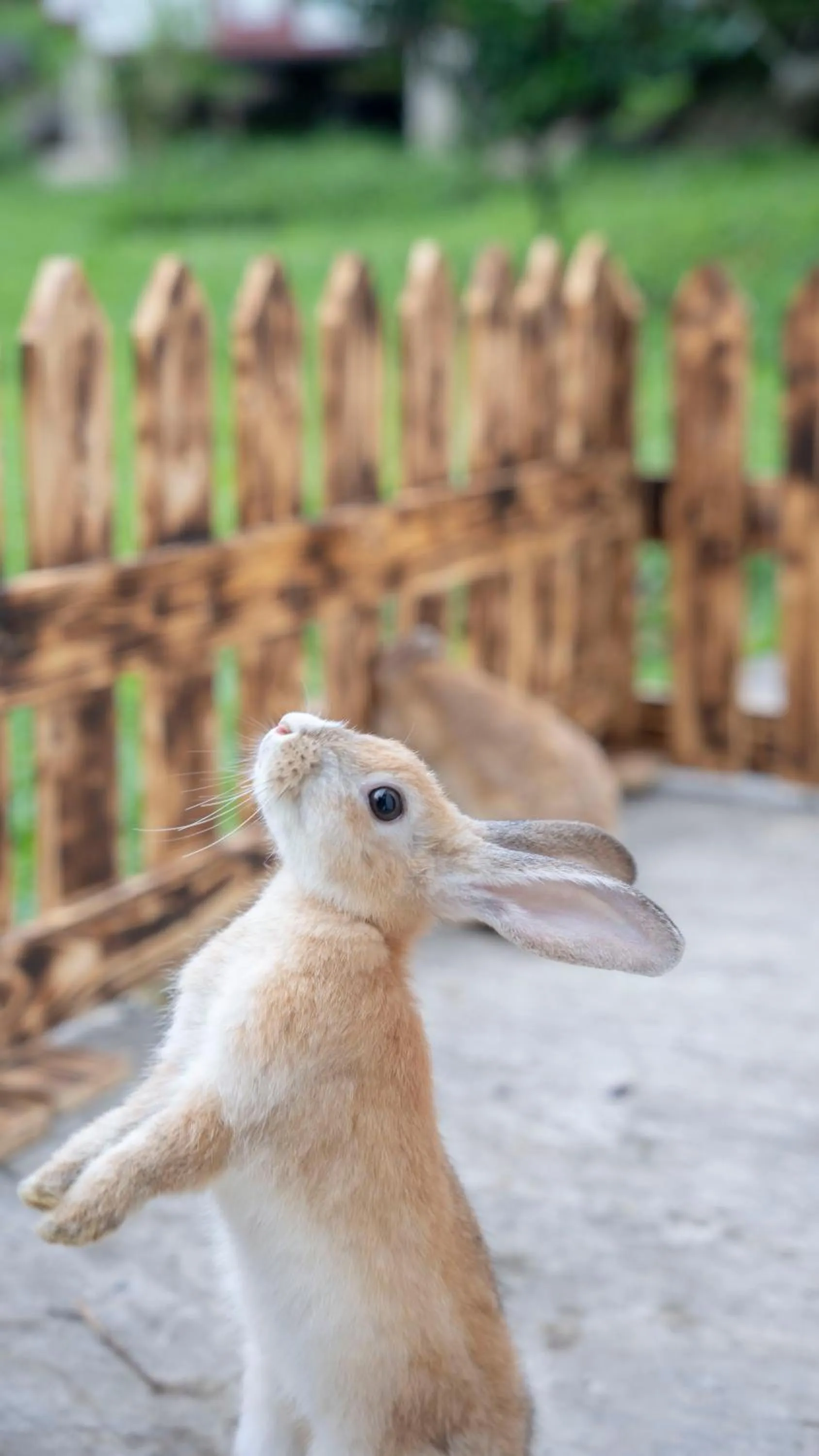 Day in Leuweung Geledegan Ecoldge