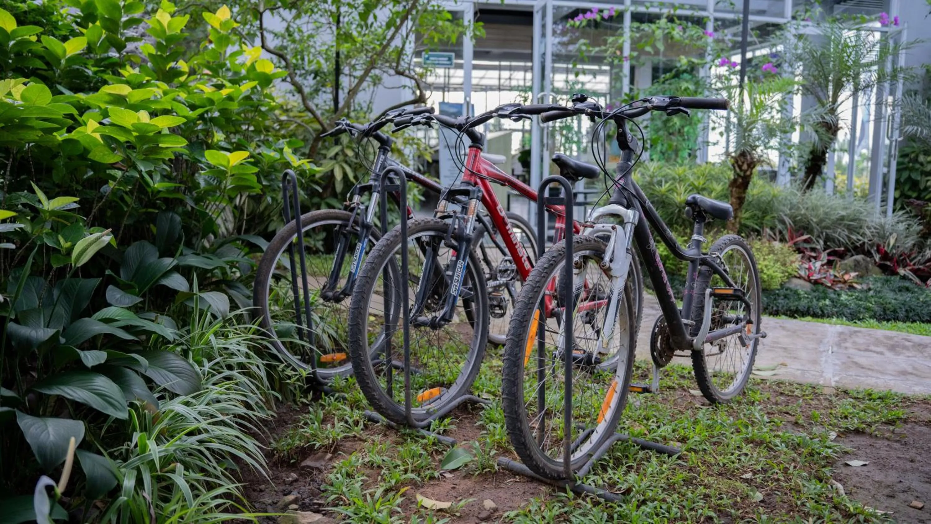 Spring in Leuweung Geledegan Ecoldge