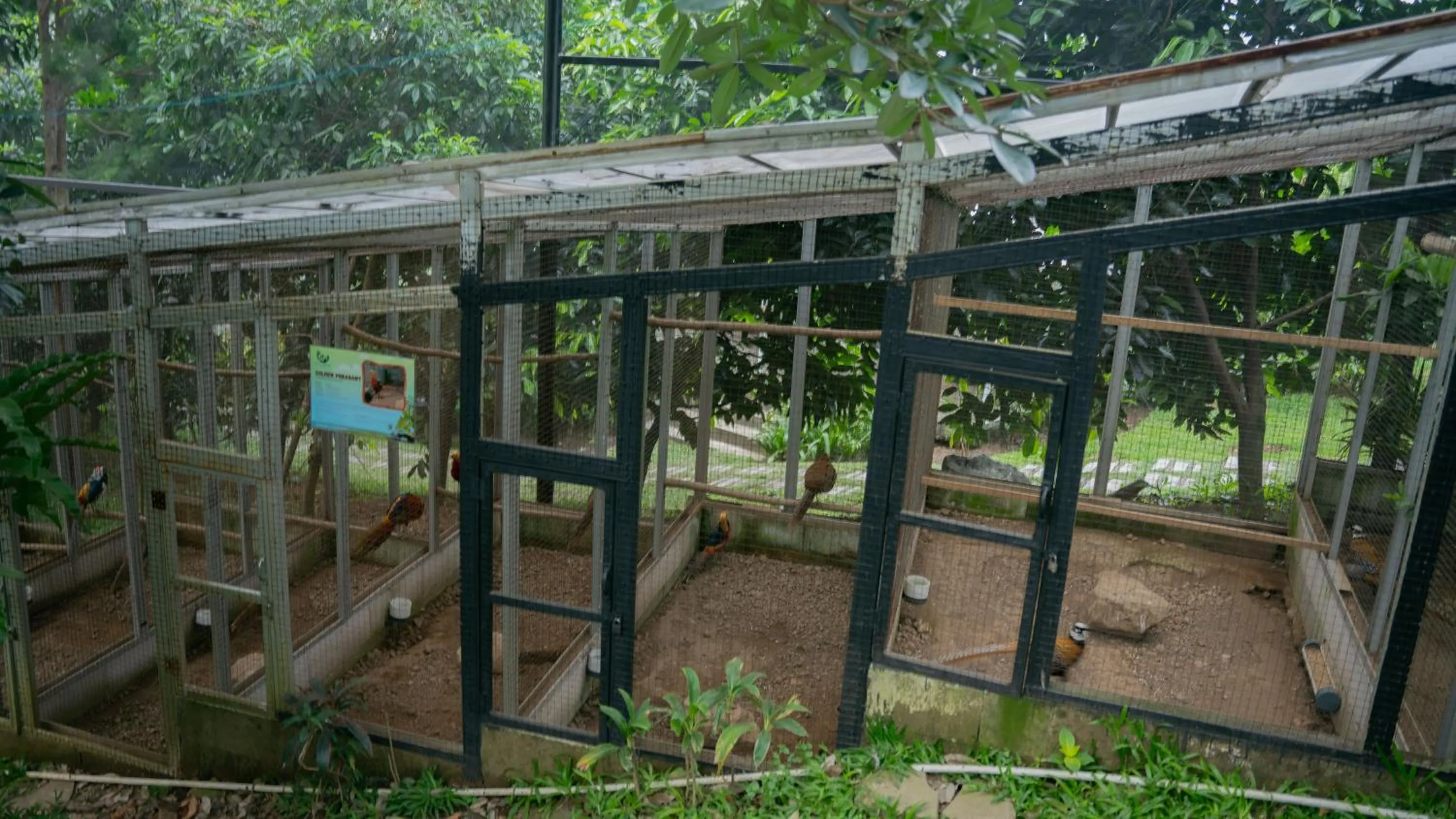 Spring in Leuweung Geledegan Ecoldge