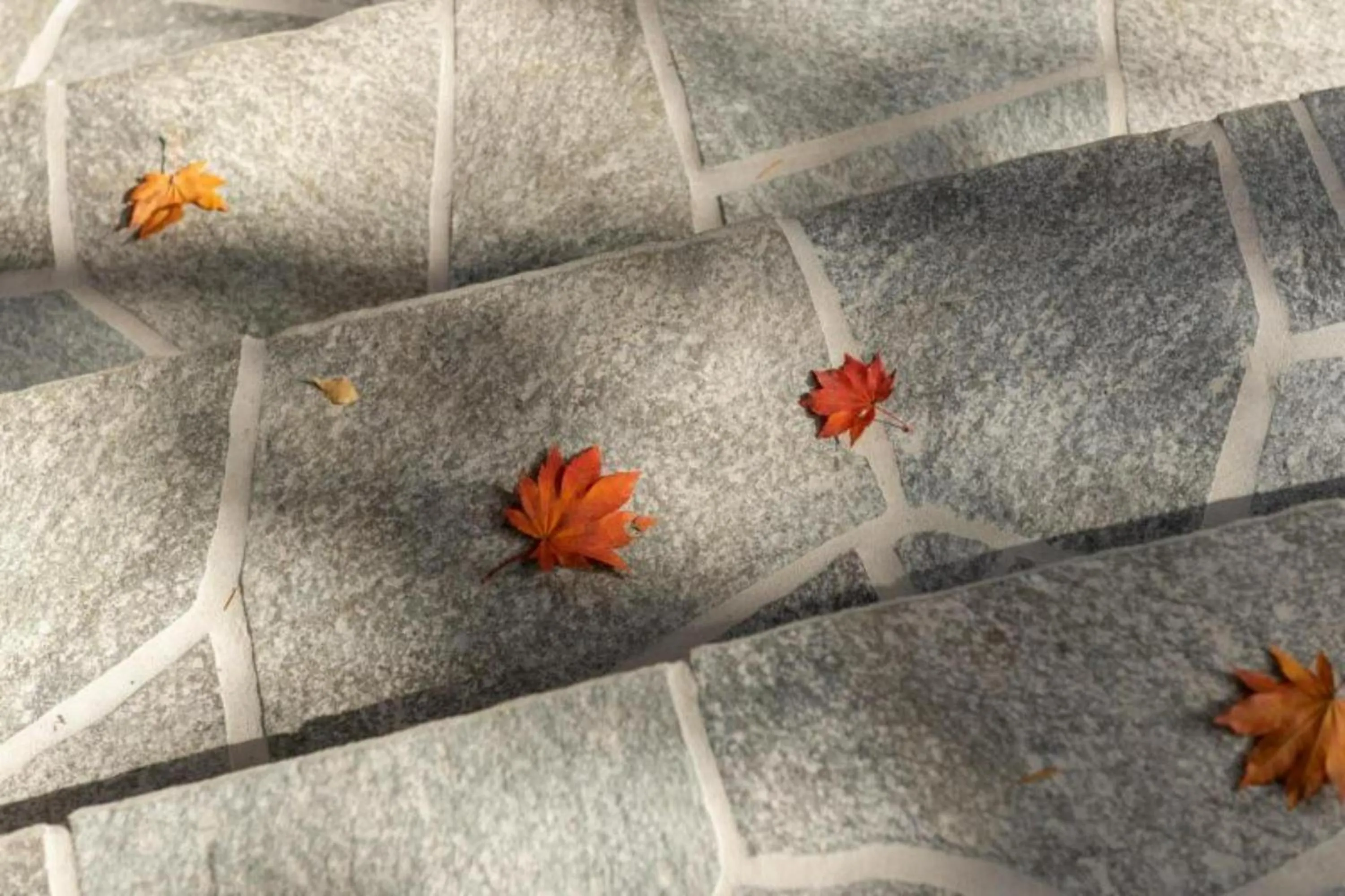 Day in Shionoyu Onsen Rengetsu