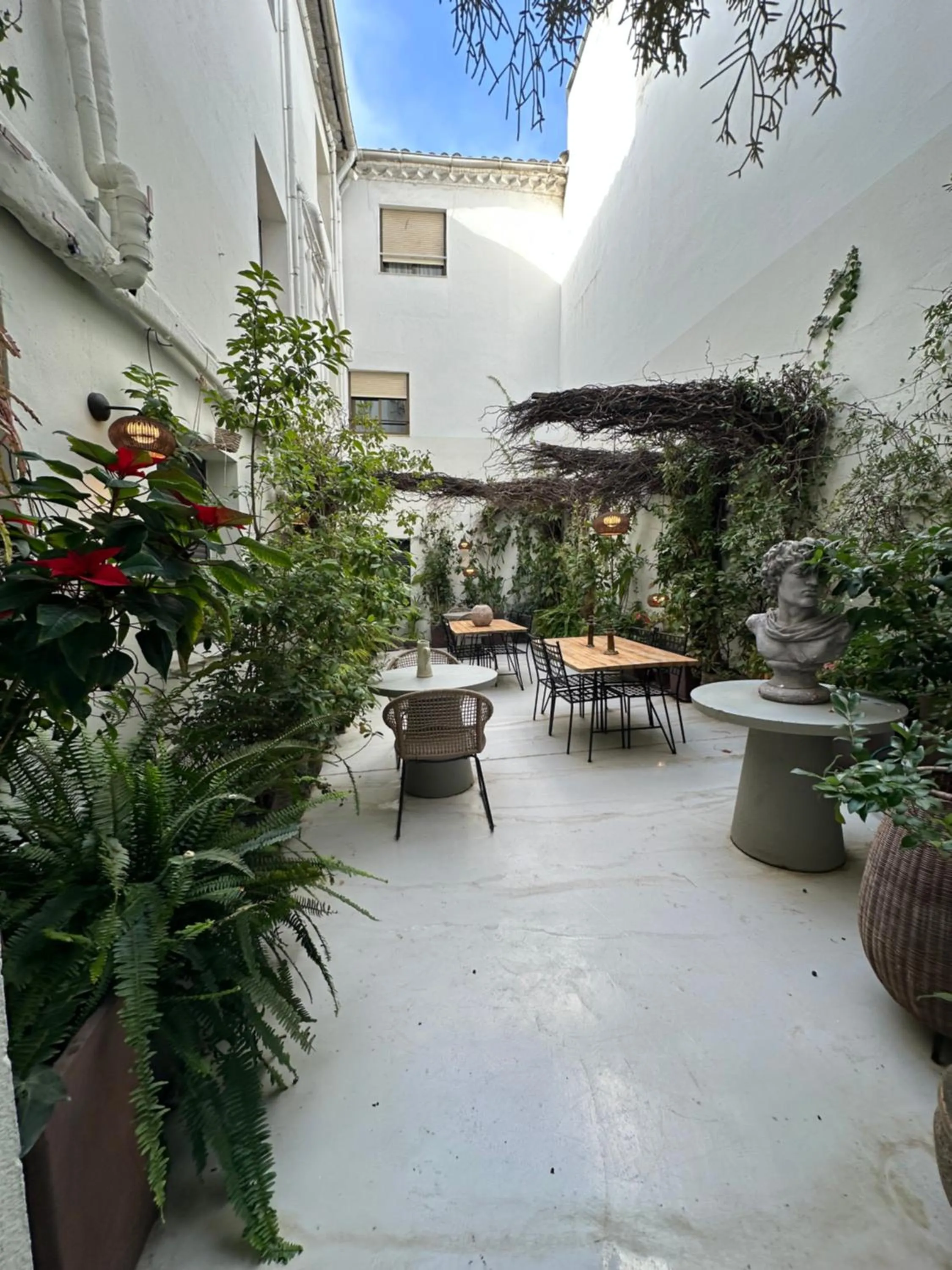 Garden view in Hotel Avenida