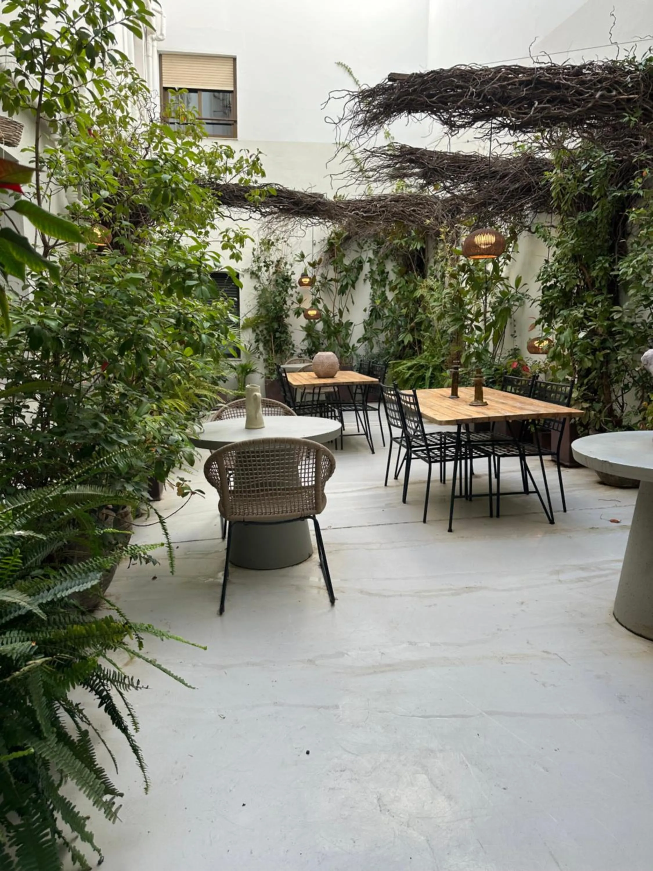 Garden view in Hotel Avenida