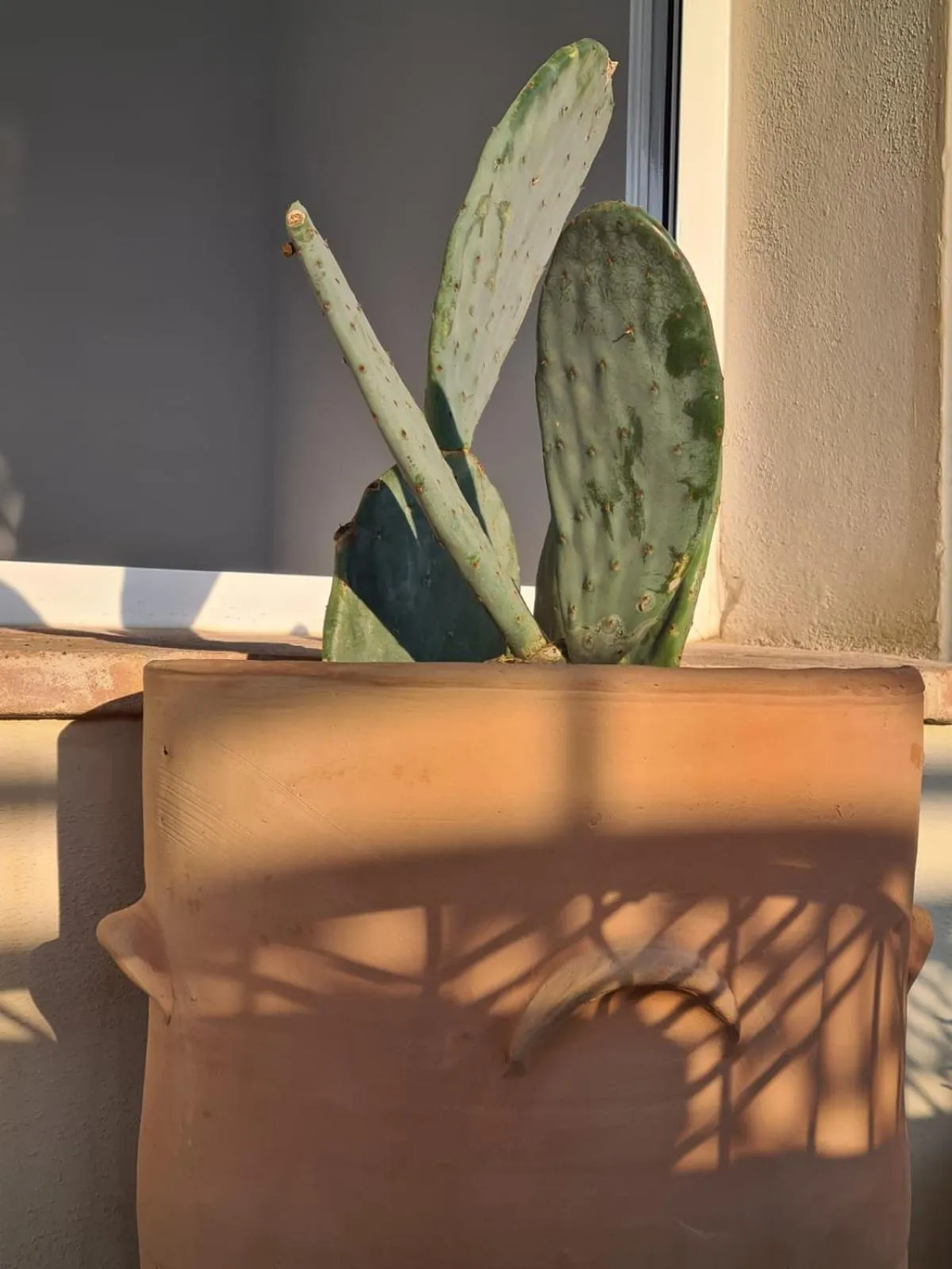 Balcony/Terrace in Hostal Hom Museo