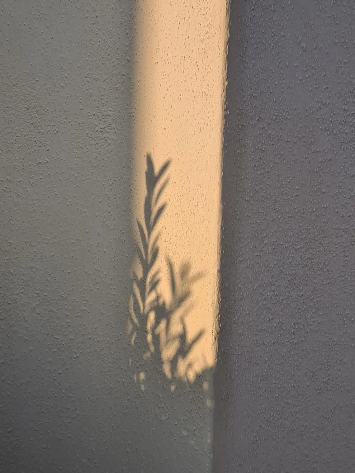 Balcony/Terrace in Hostal Hom Museo
