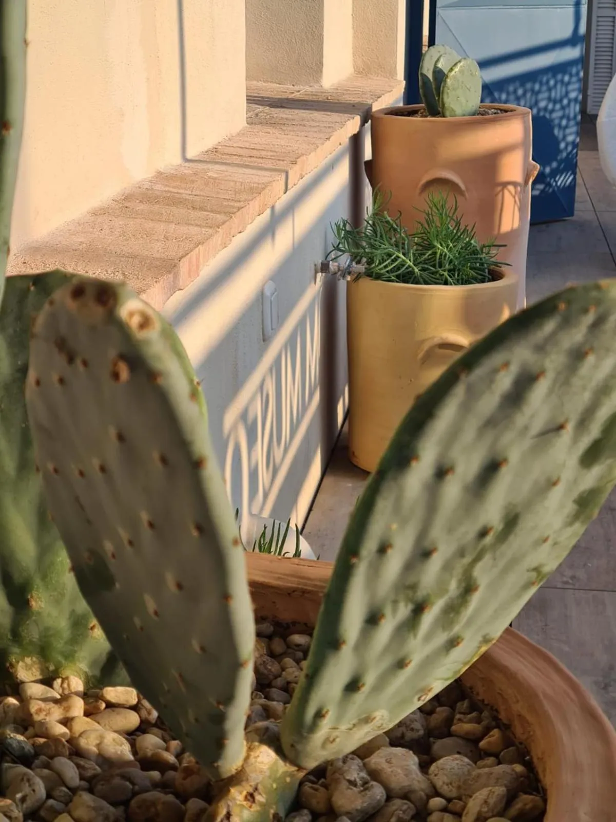 Balcony/Terrace in Hostal Hom Museo