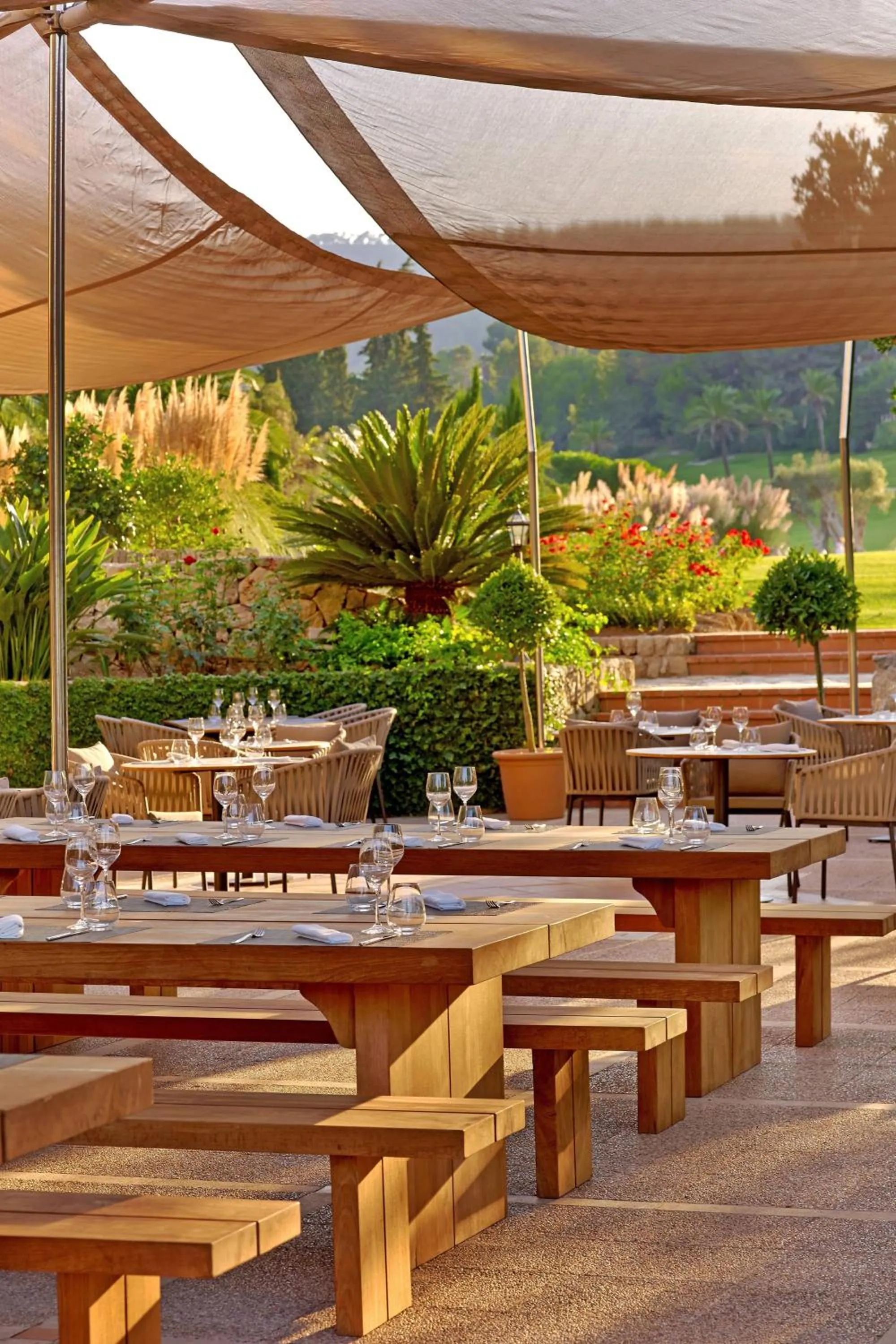 Restaurant/places to eat in Sheraton Mallorca Arabella Golf Hotel