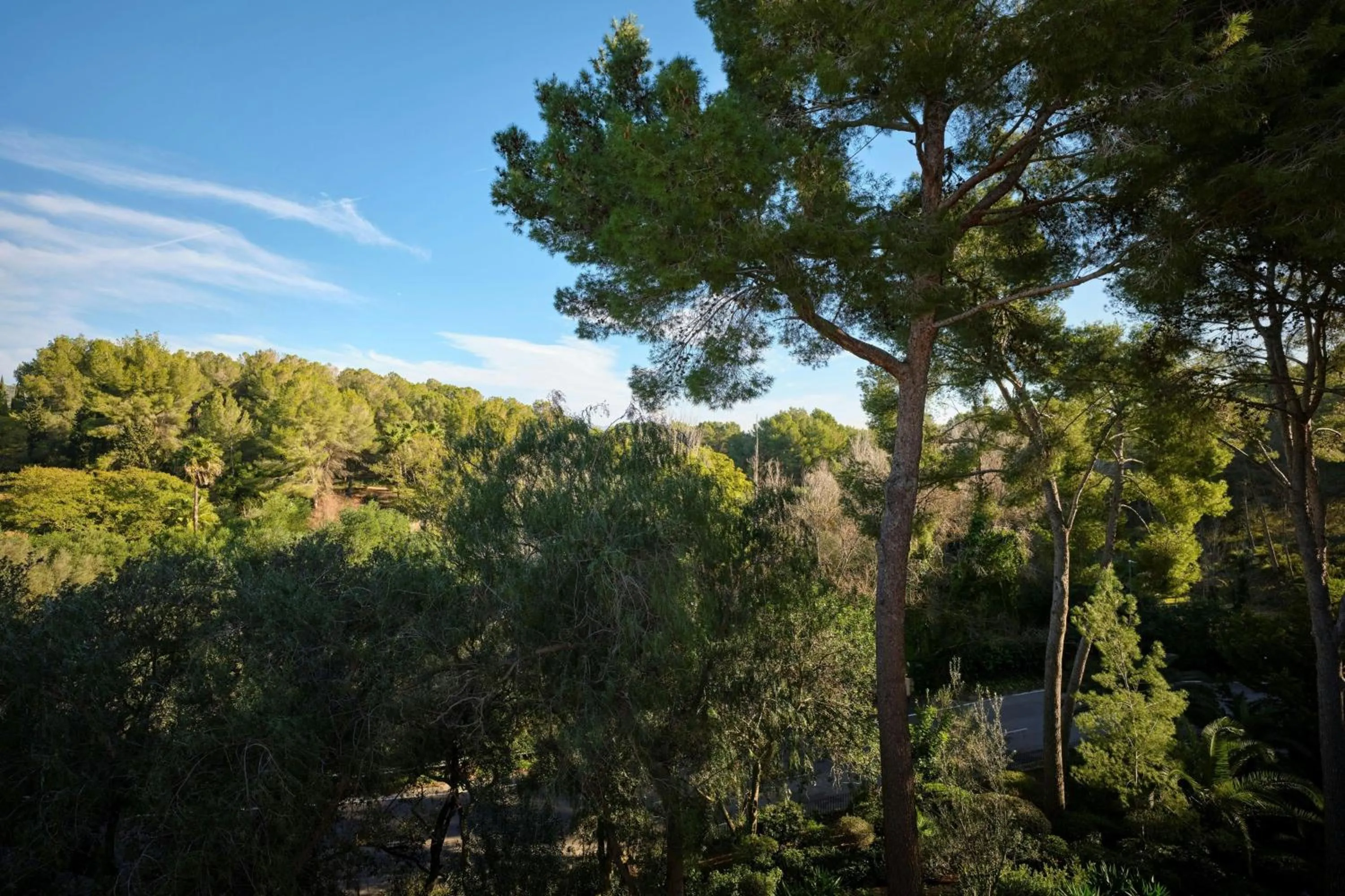 Photo of the whole room in Sheraton Mallorca Arabella Golf Hotel