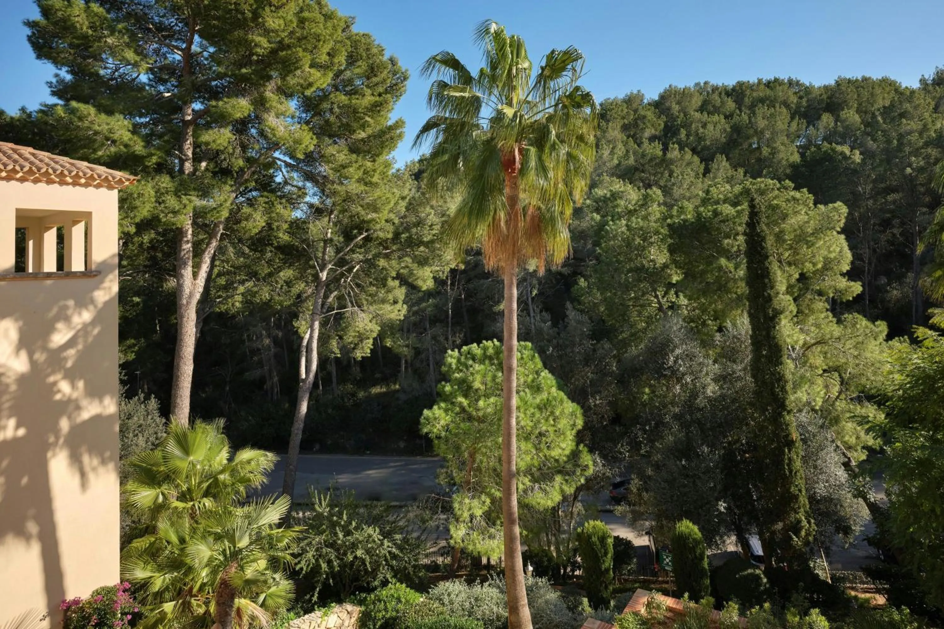 Photo of the whole room in Sheraton Mallorca Arabella Golf Hotel