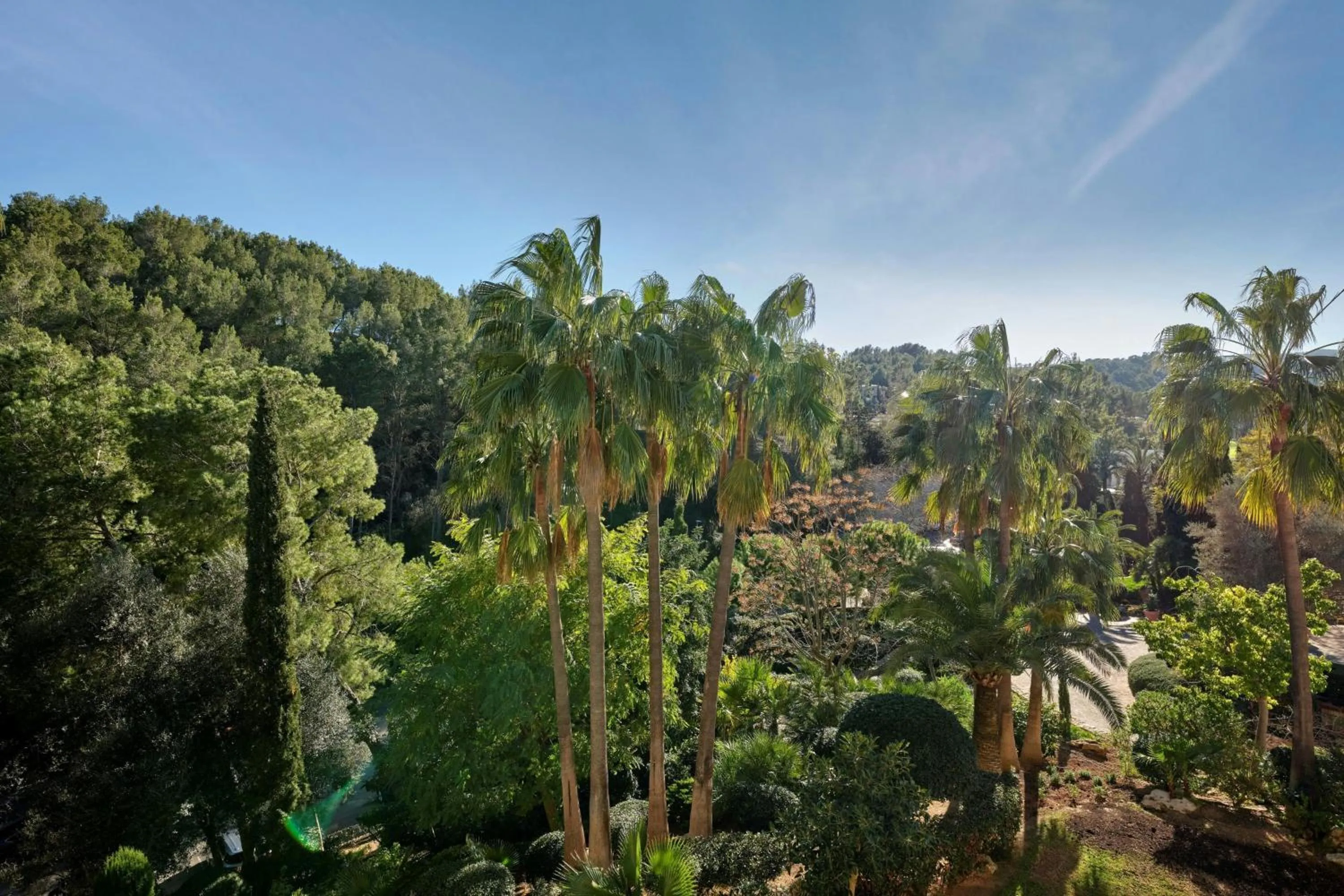 Photo of the whole room in Sheraton Mallorca Arabella Golf Hotel