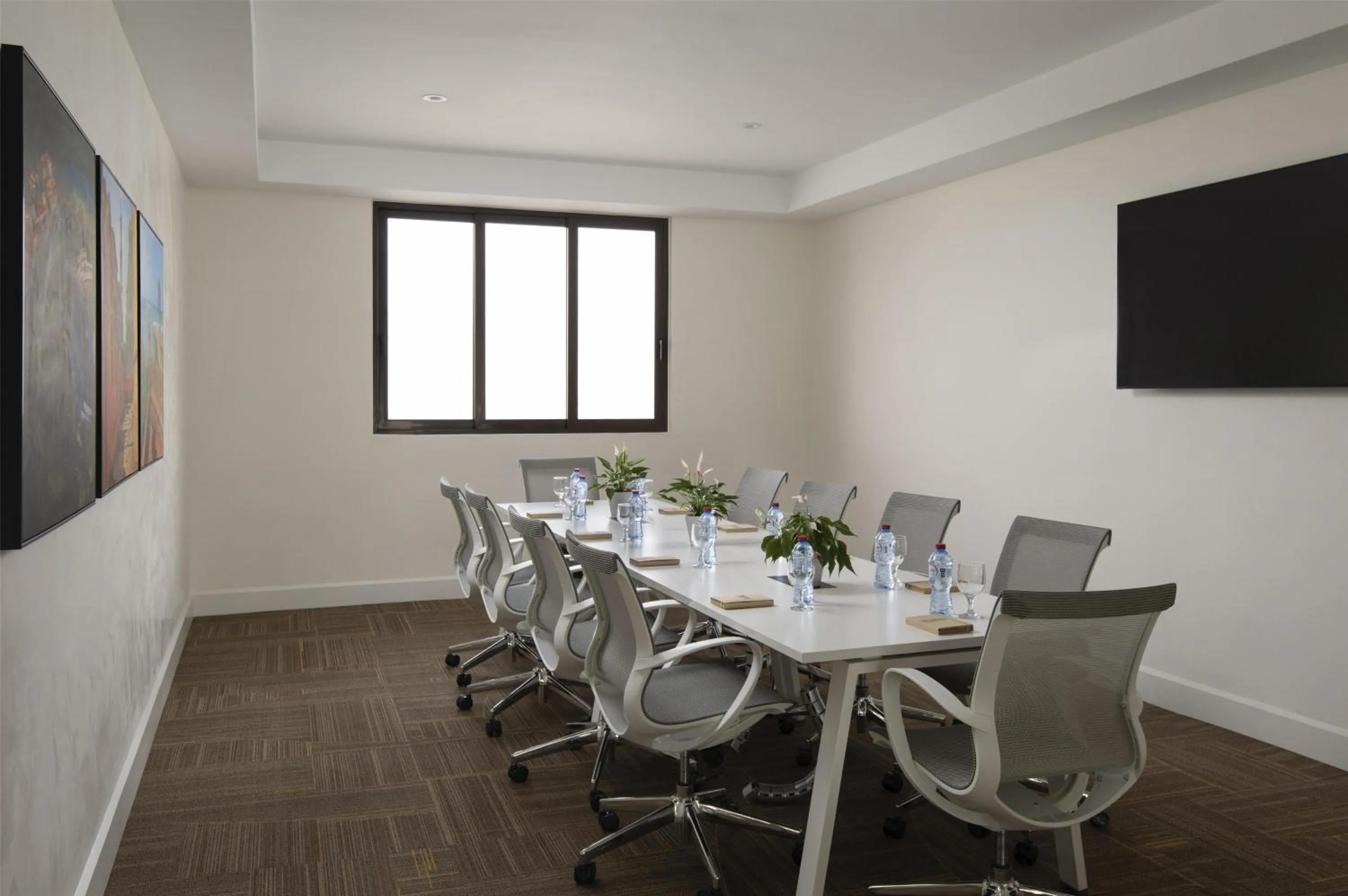 Meeting/conference room in Hilton Garden Inn La Romana