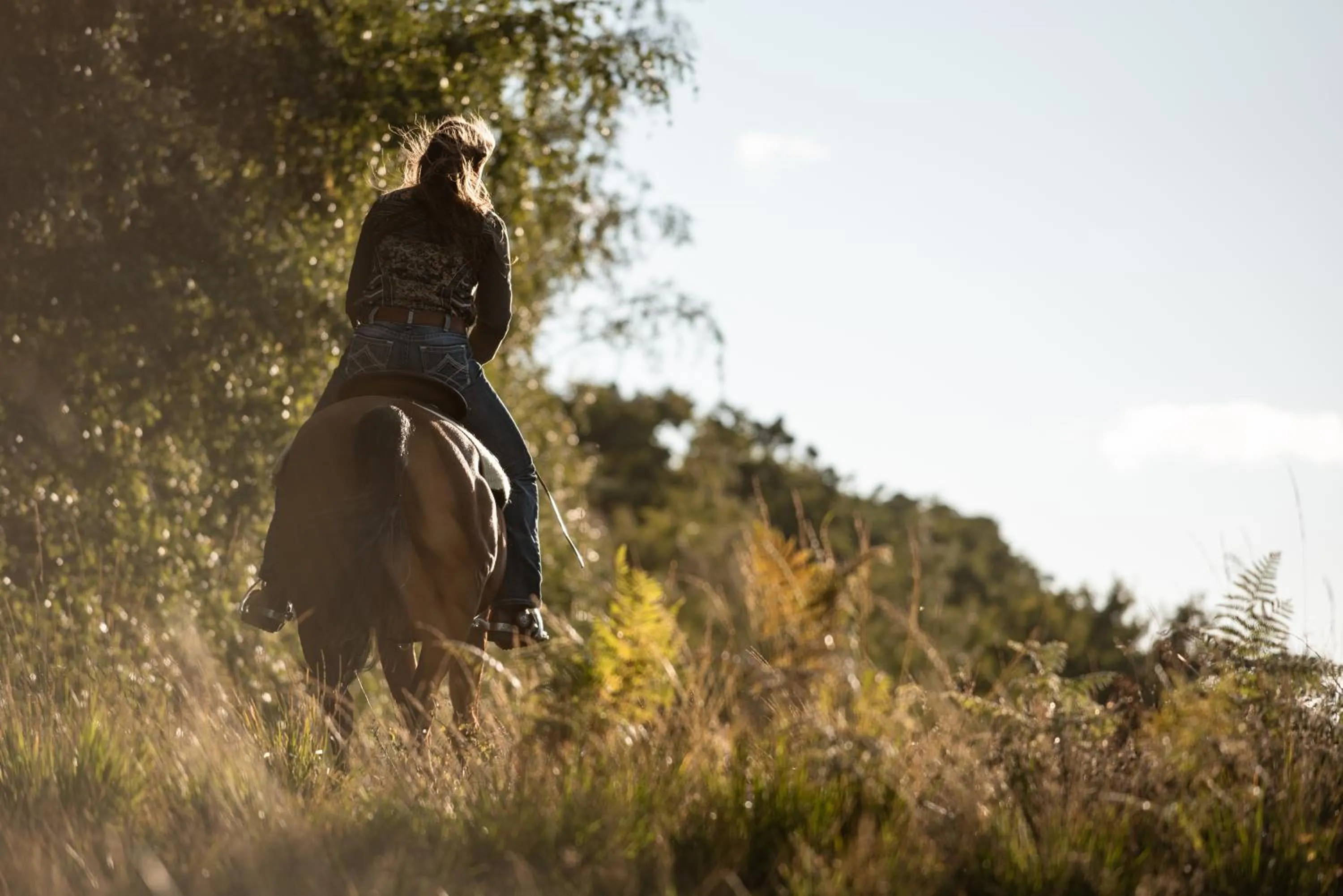 Horse-riding in MY HOUSE URBAN LUXURY B&B