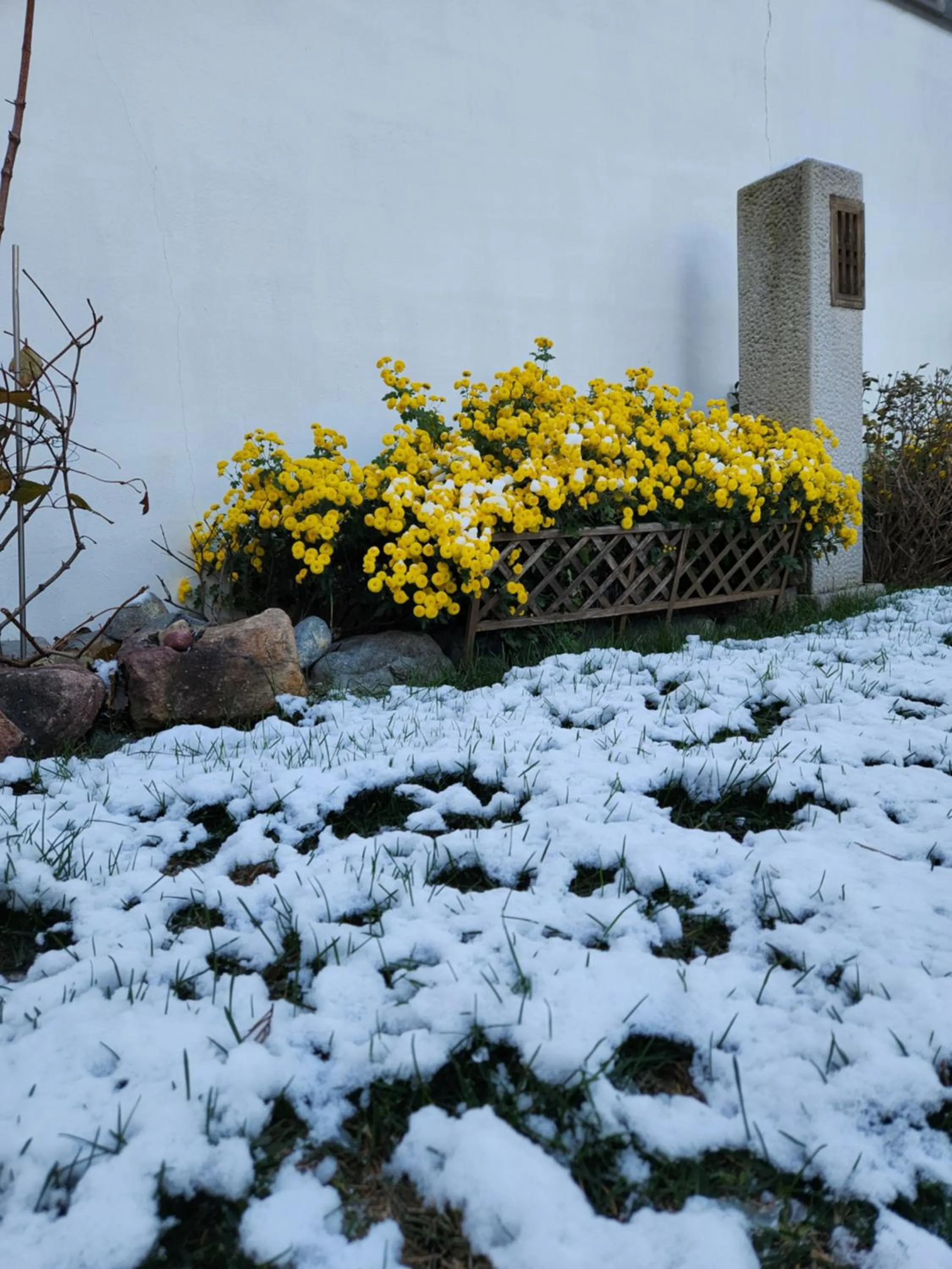 Garden view in HanokInn