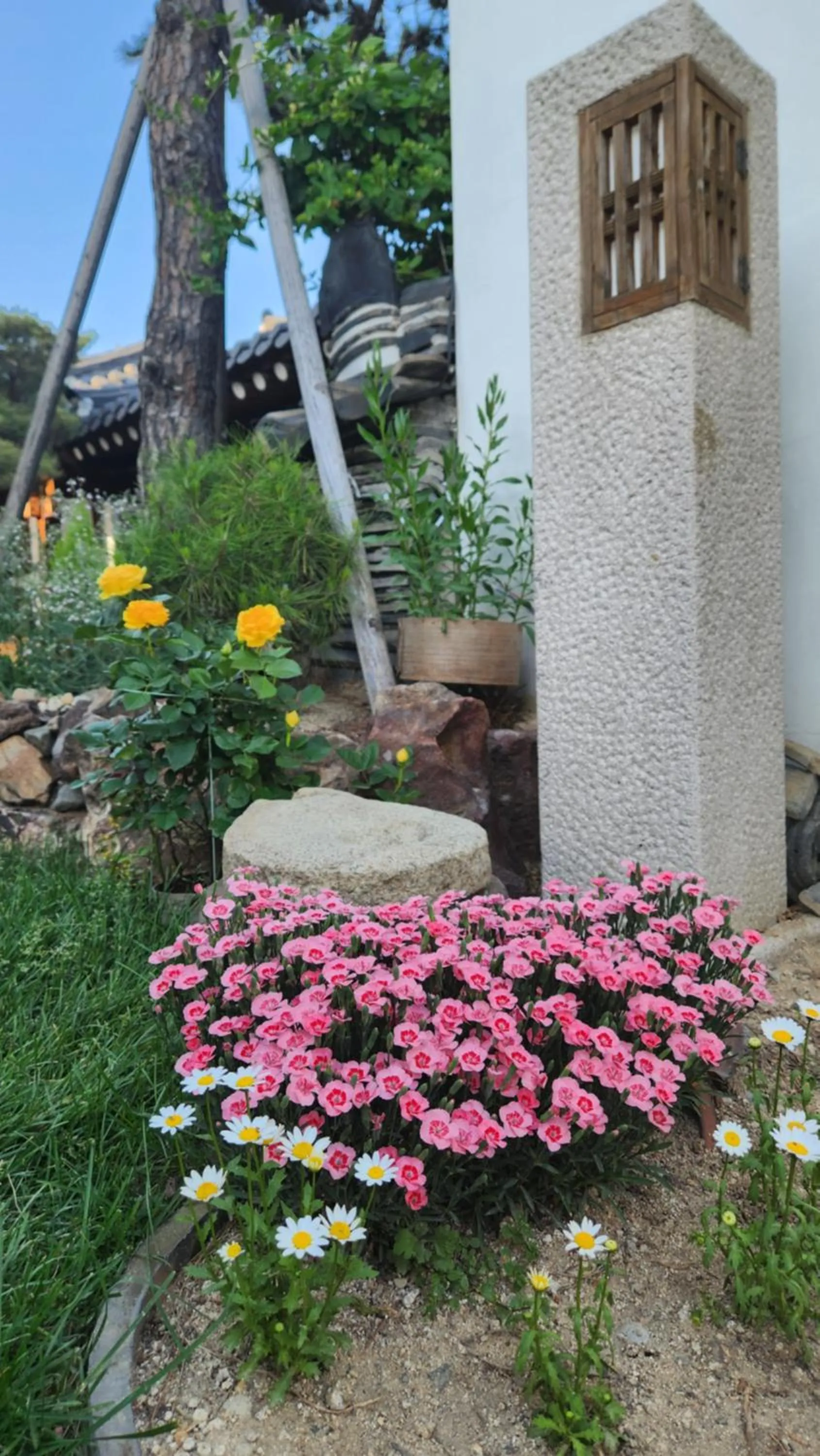 Garden view in HanokInn