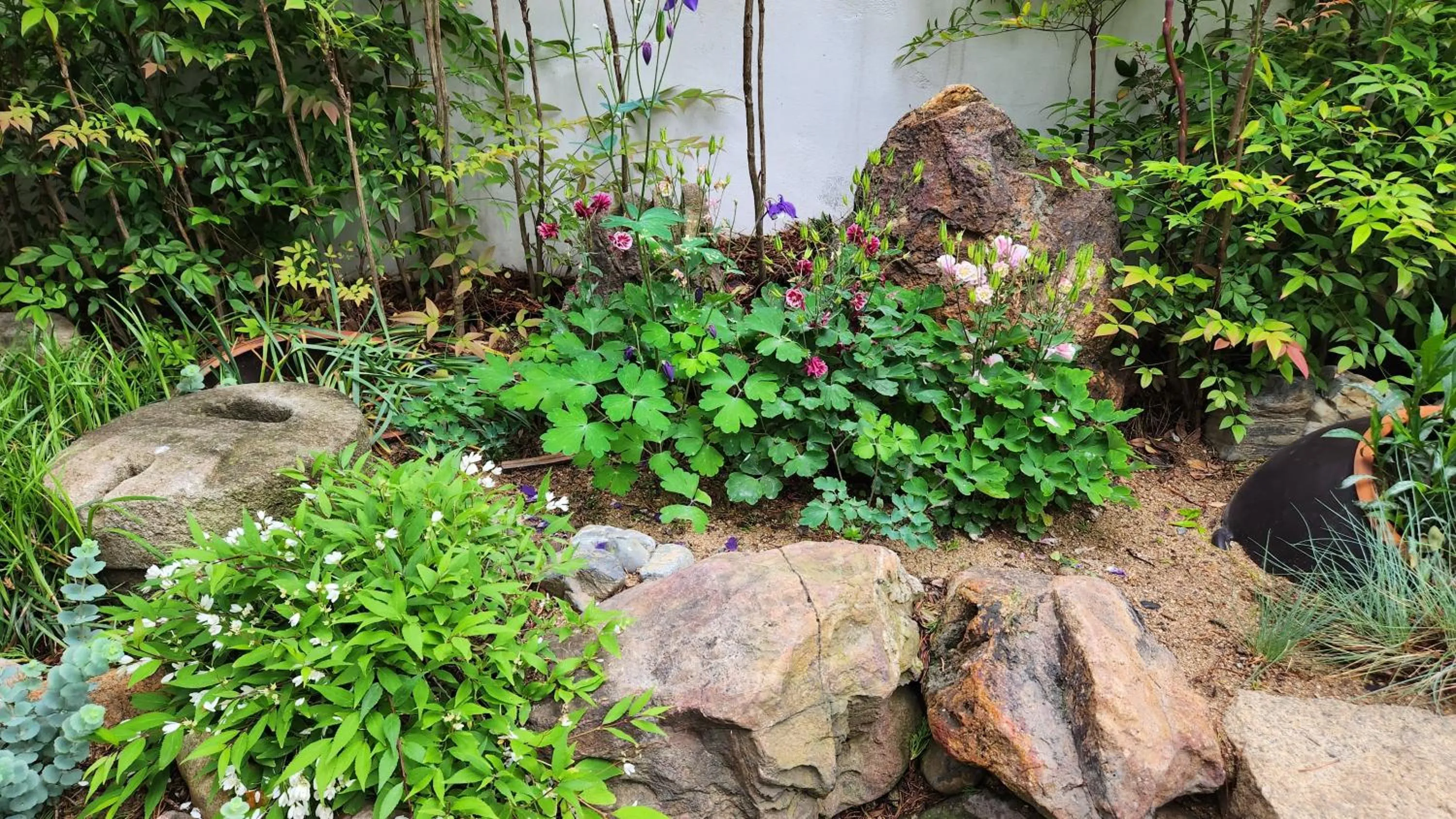 Garden view in HanokInn