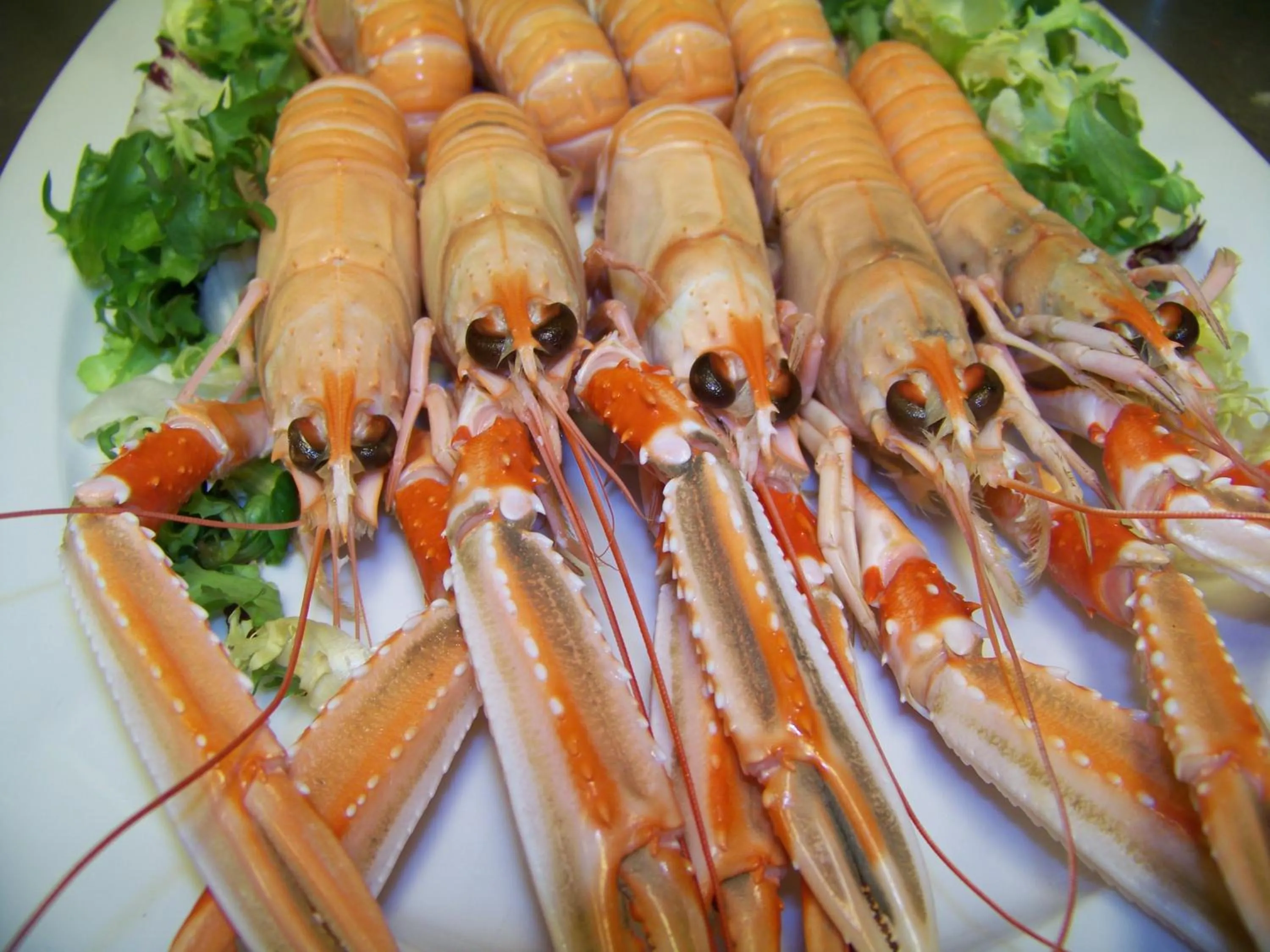 Restaurant/places to eat in Hotel Varadoiro