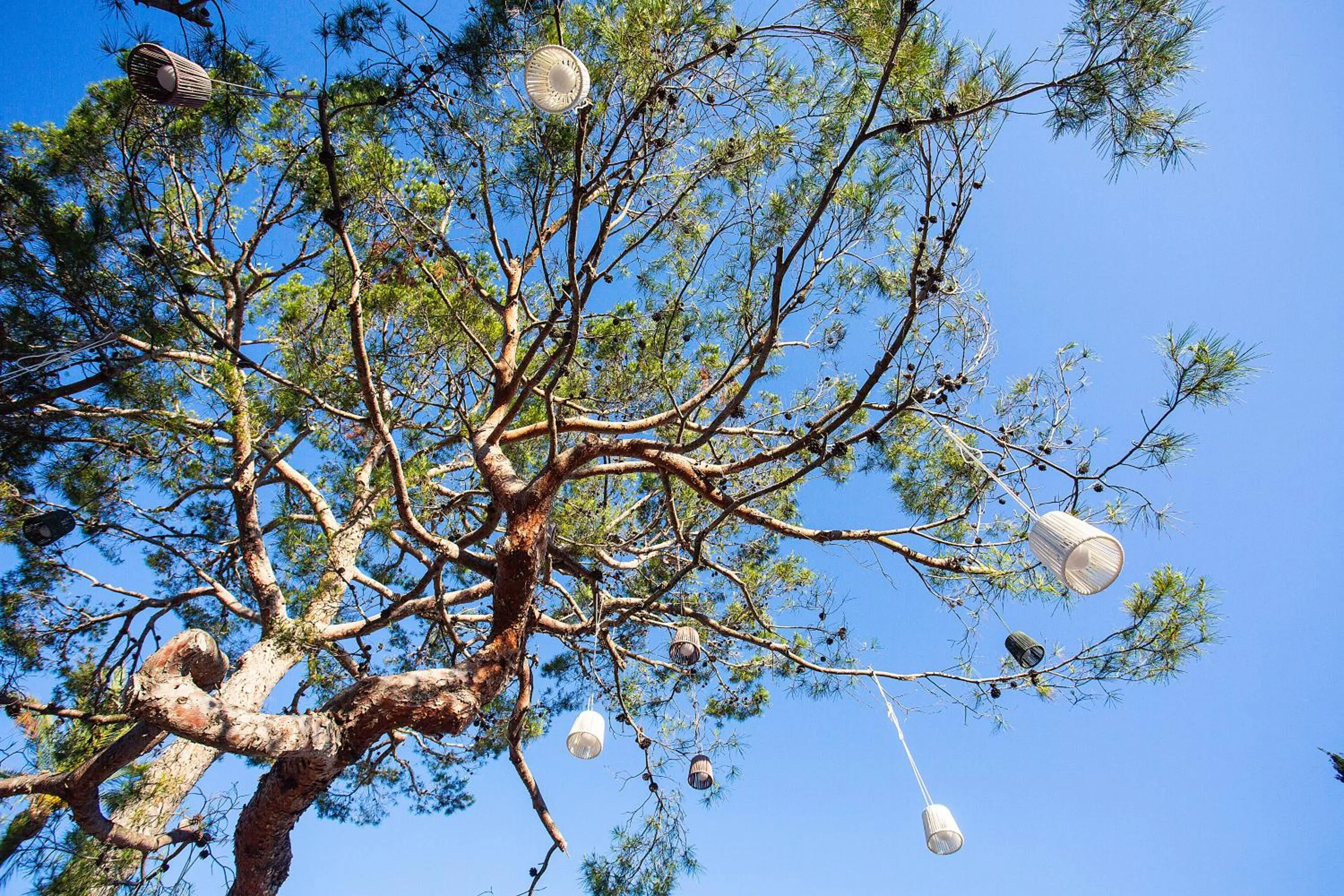 Natural landscape in BQ Sarah -Adults Only