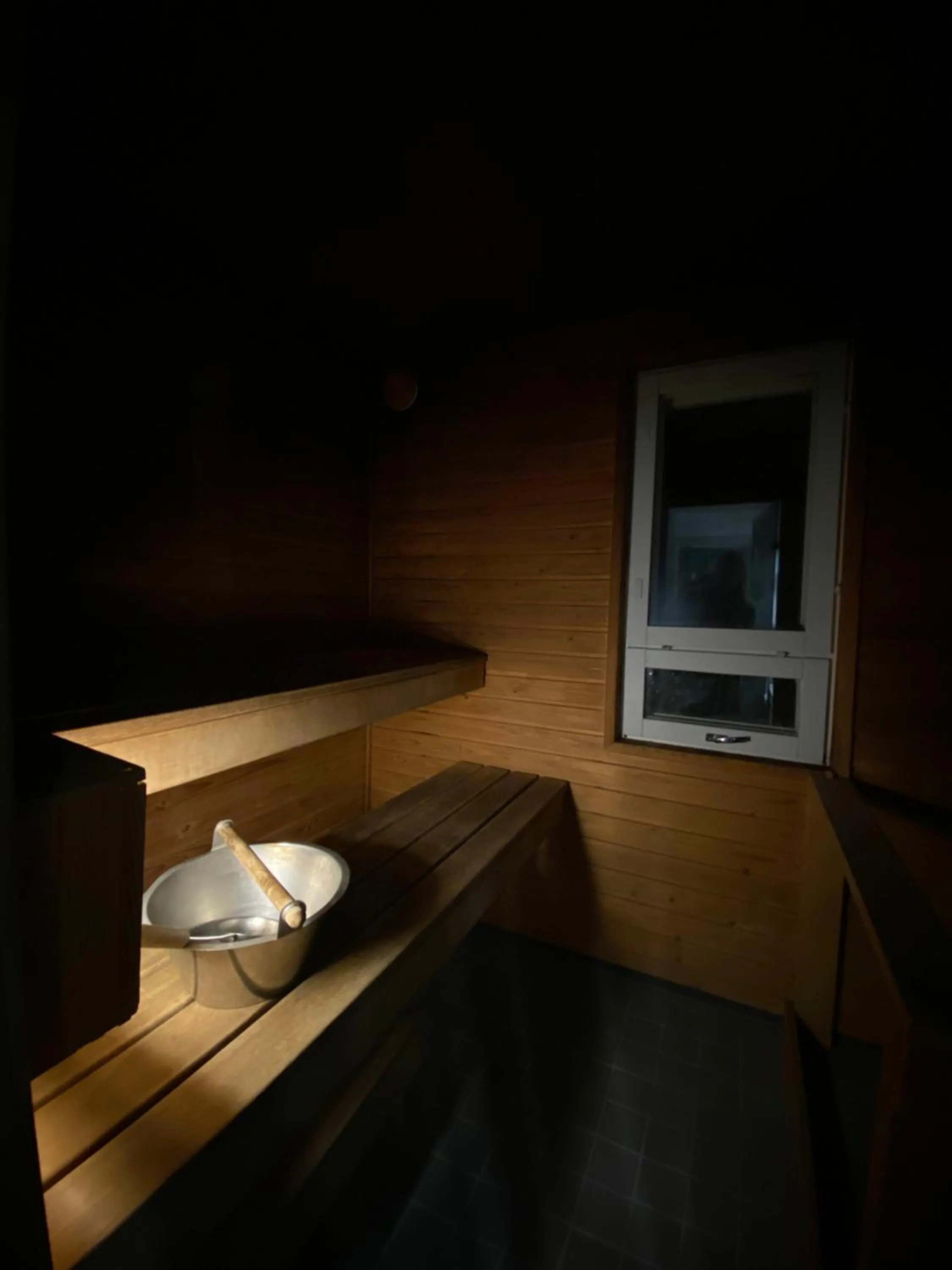 Sauna in Hotelli Leikari