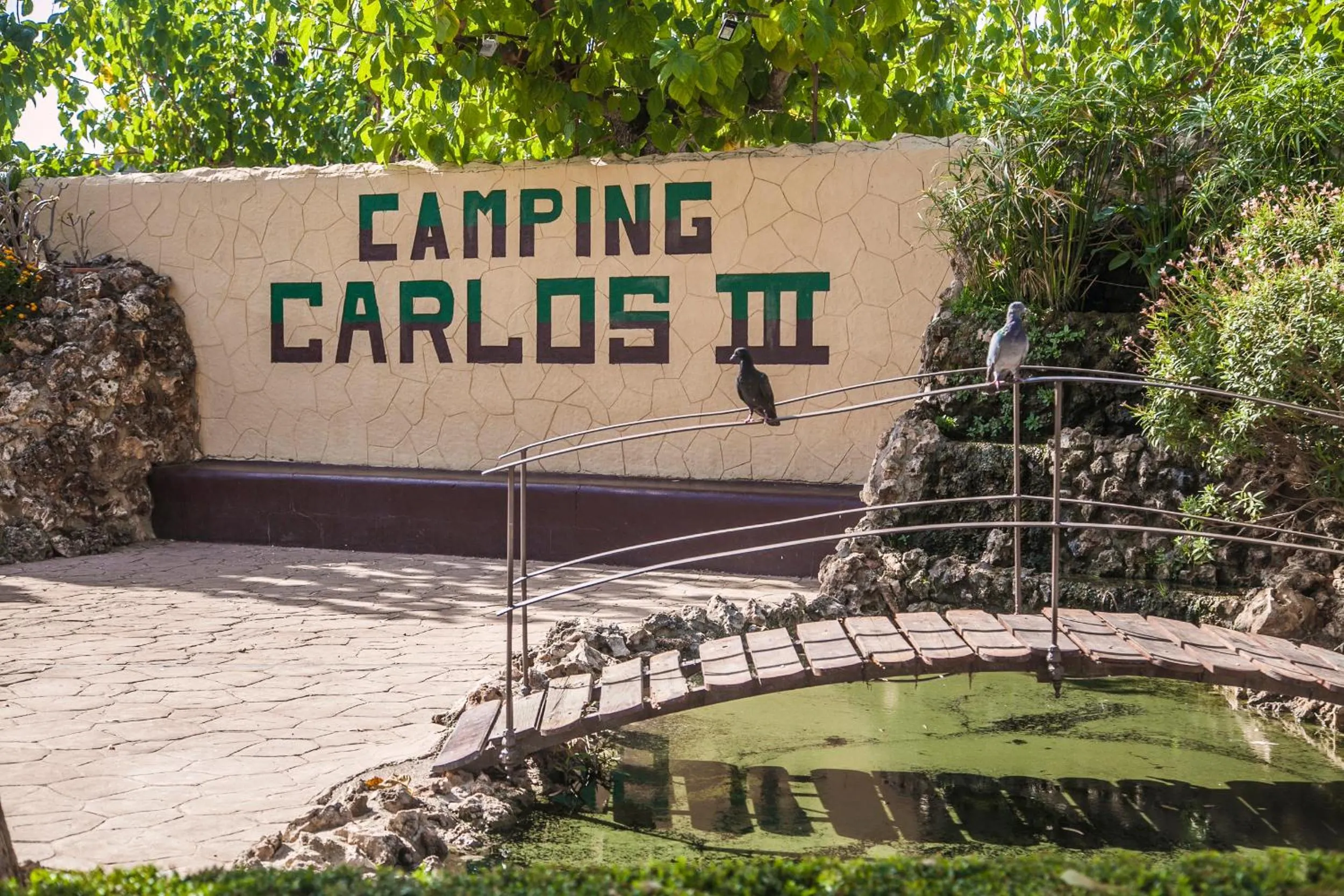 Camping Carlos III