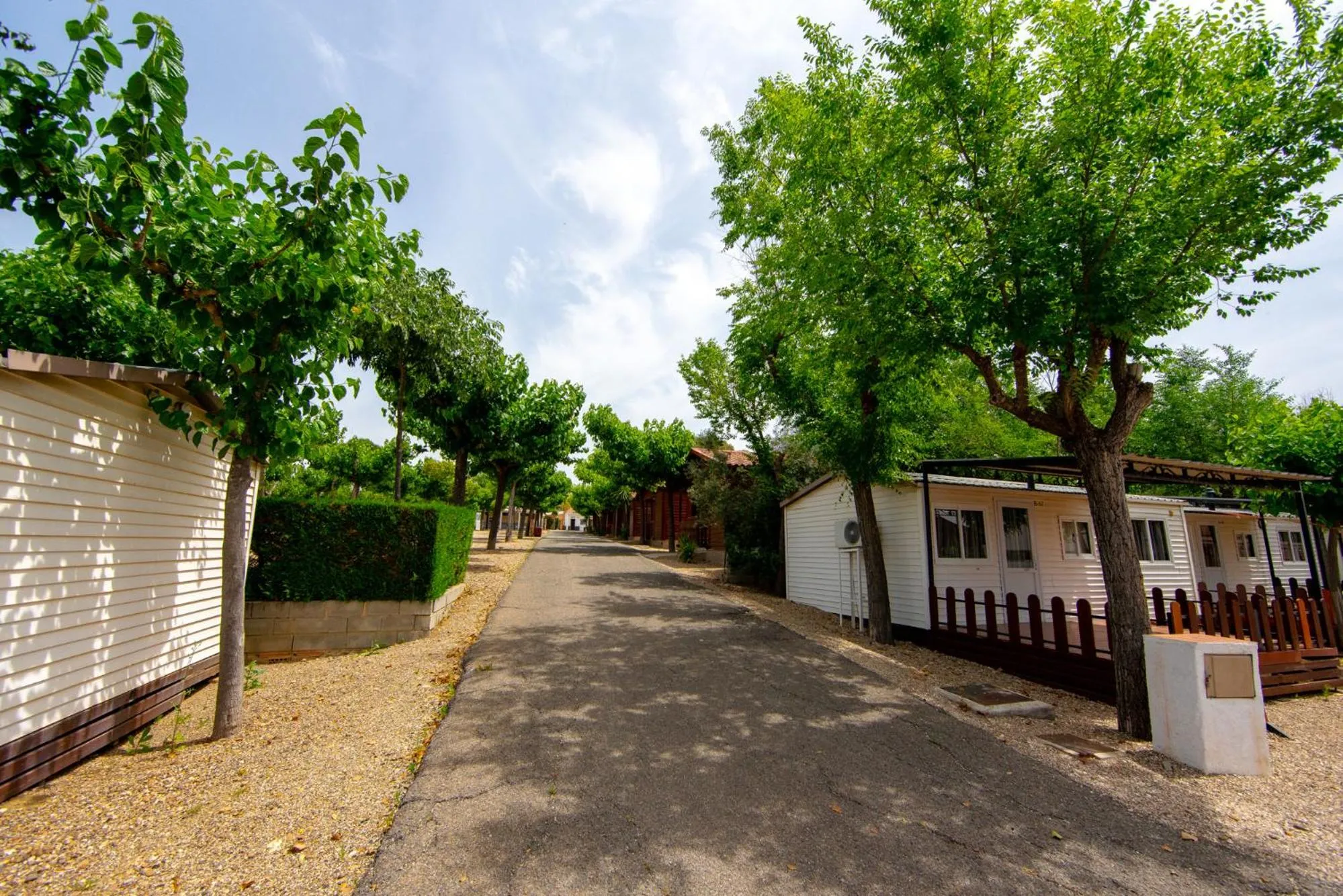 Street view in Camping Carlos III