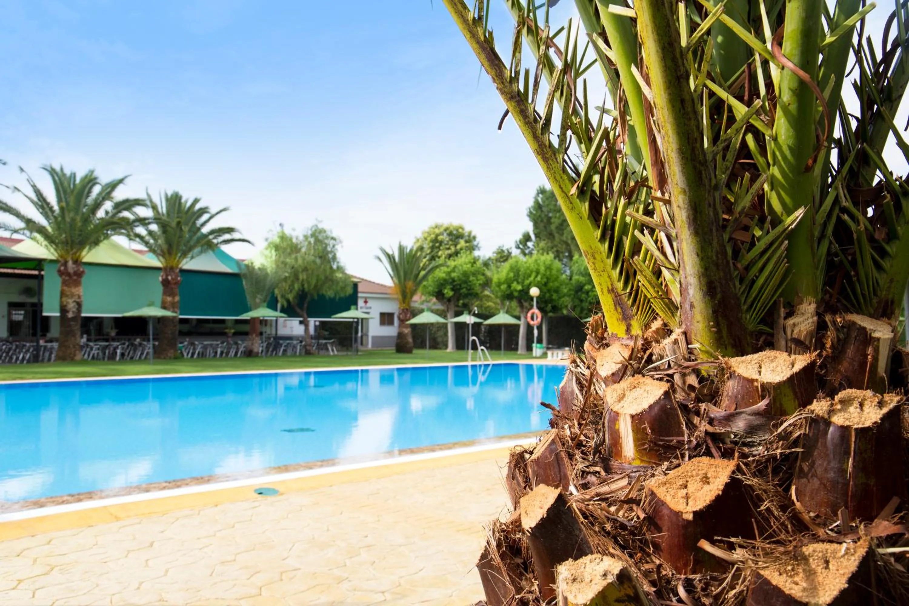 Garden view in Camping Carlos III