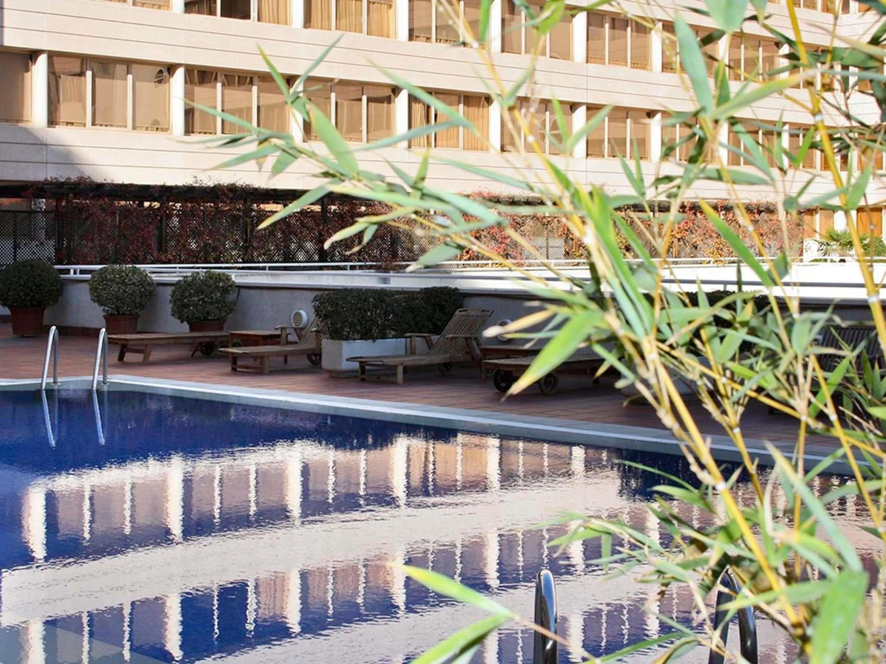 Pool view in Pullman Madrid Airport & Feria