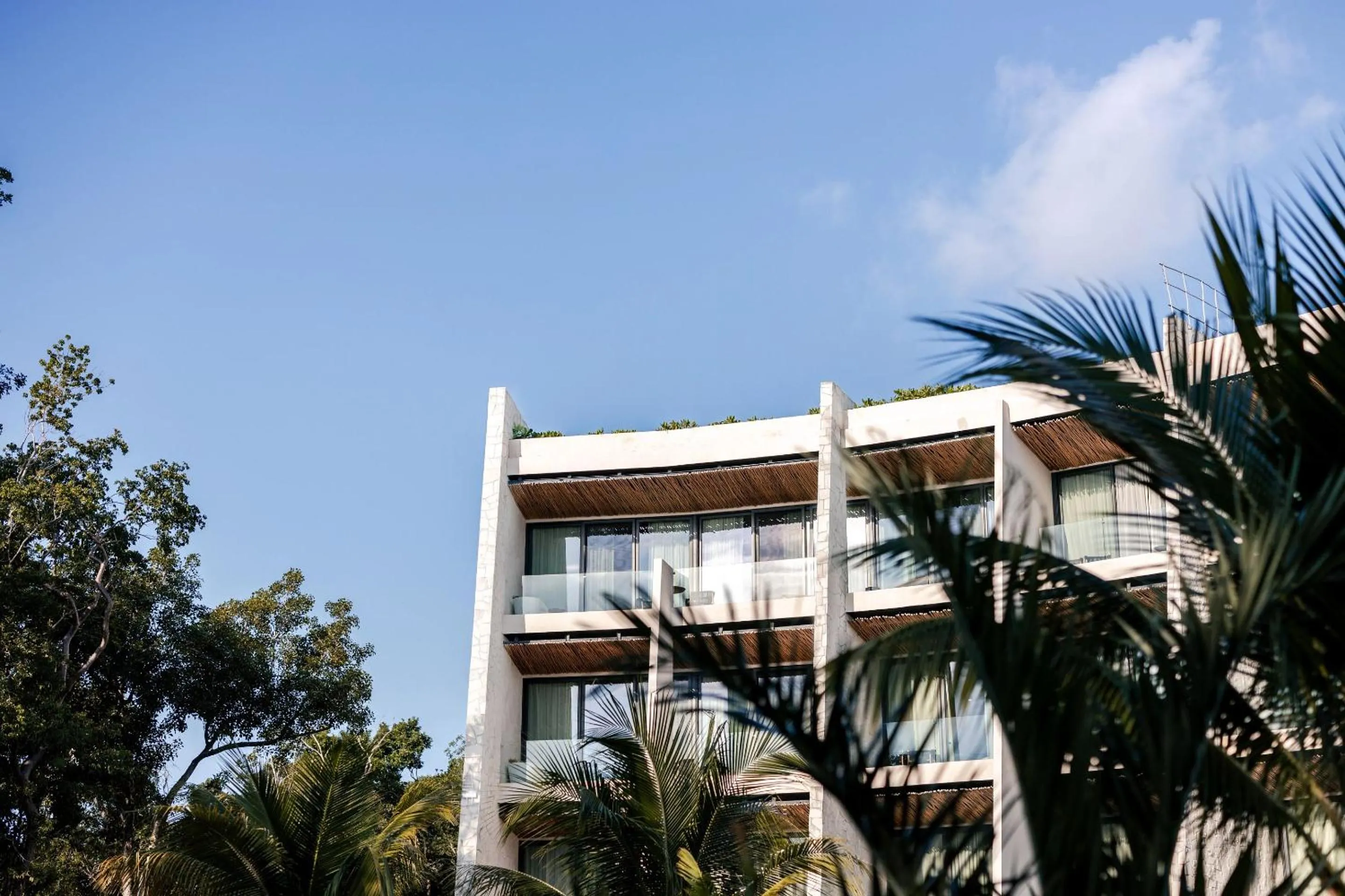 Garden view in Secrets Tulum Resort & Beach Club - Adults Only - All Inclusive