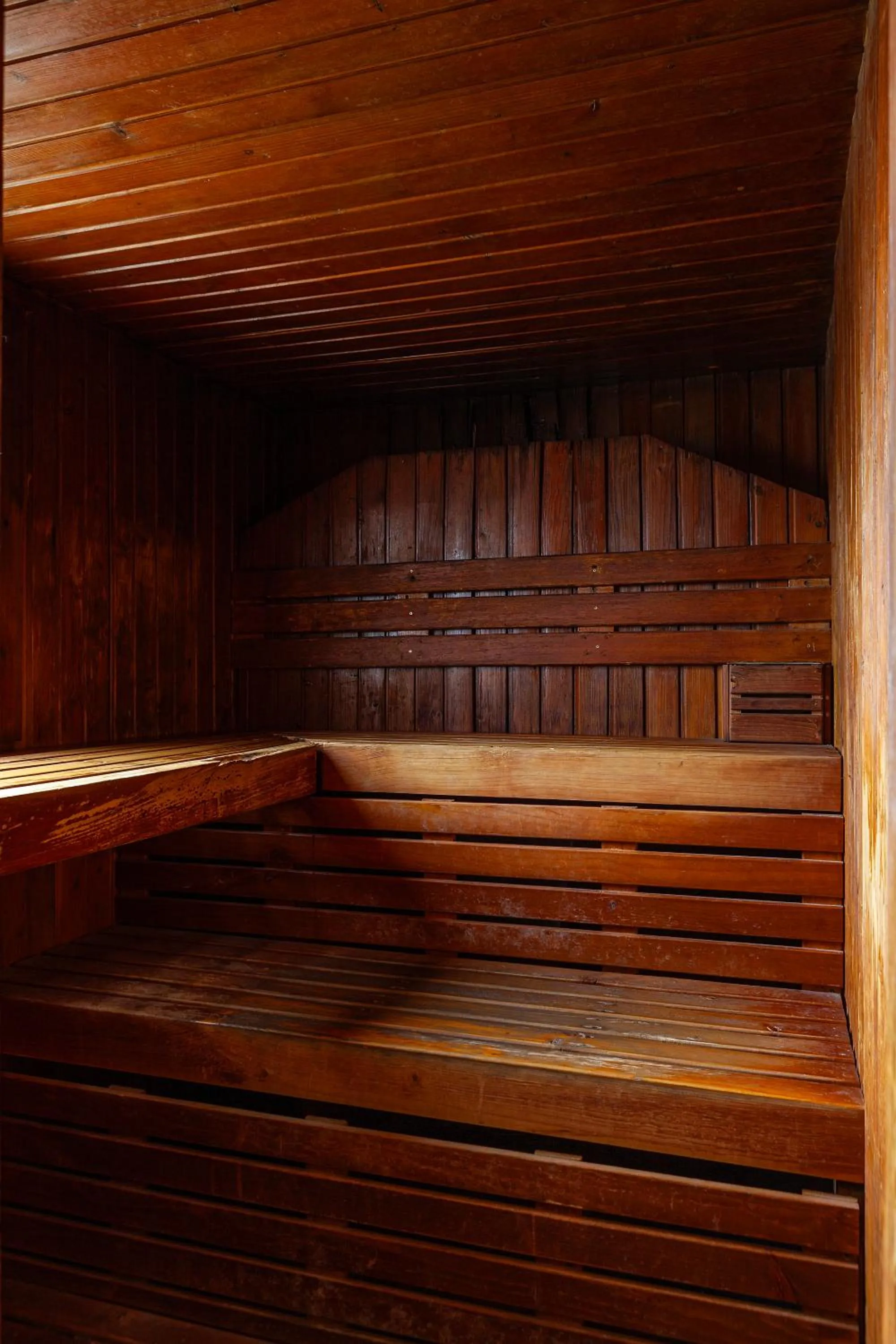 Sauna in Hotel Jerez & Spa