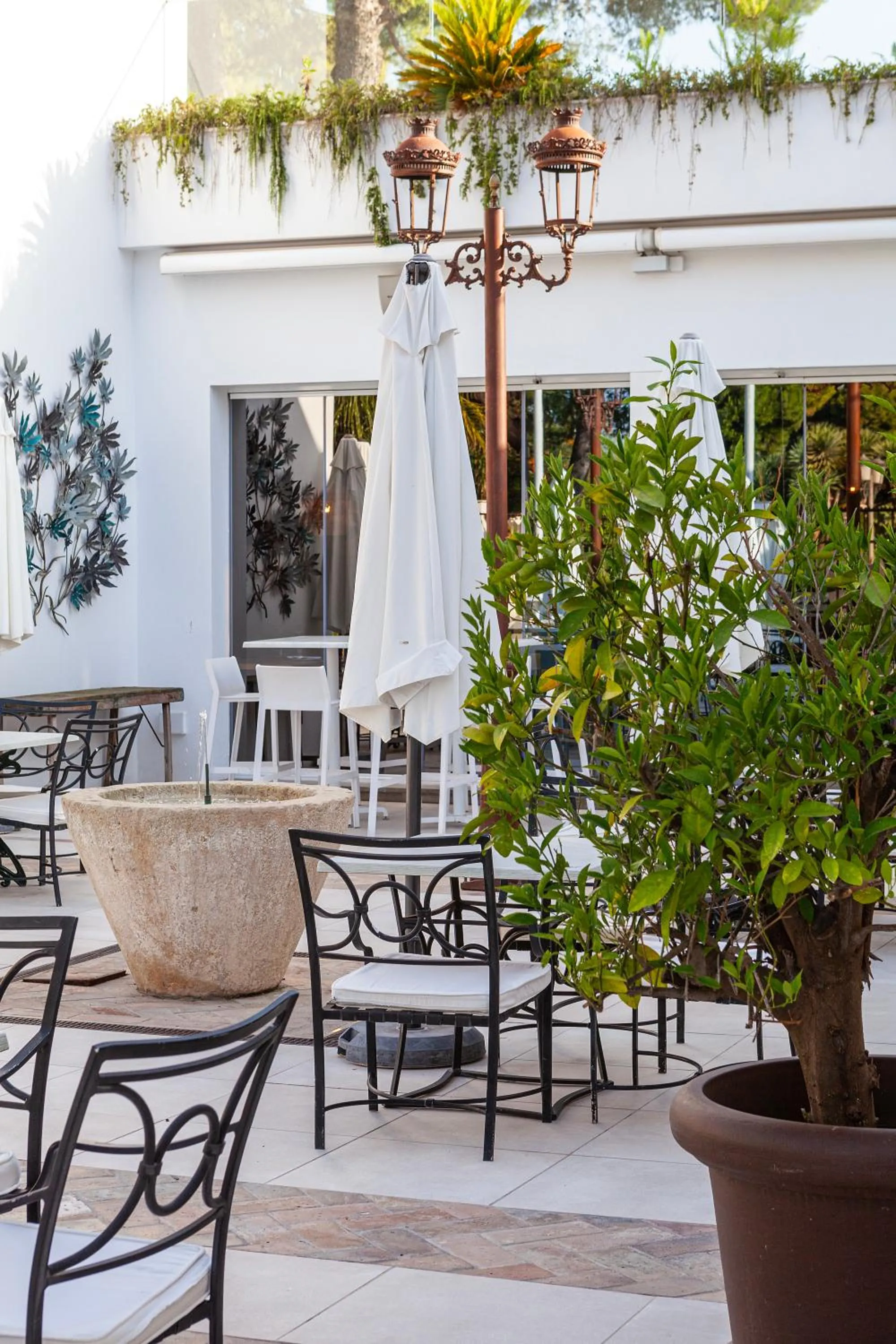 Restaurant/places to eat in Hotel Jerez & Spa