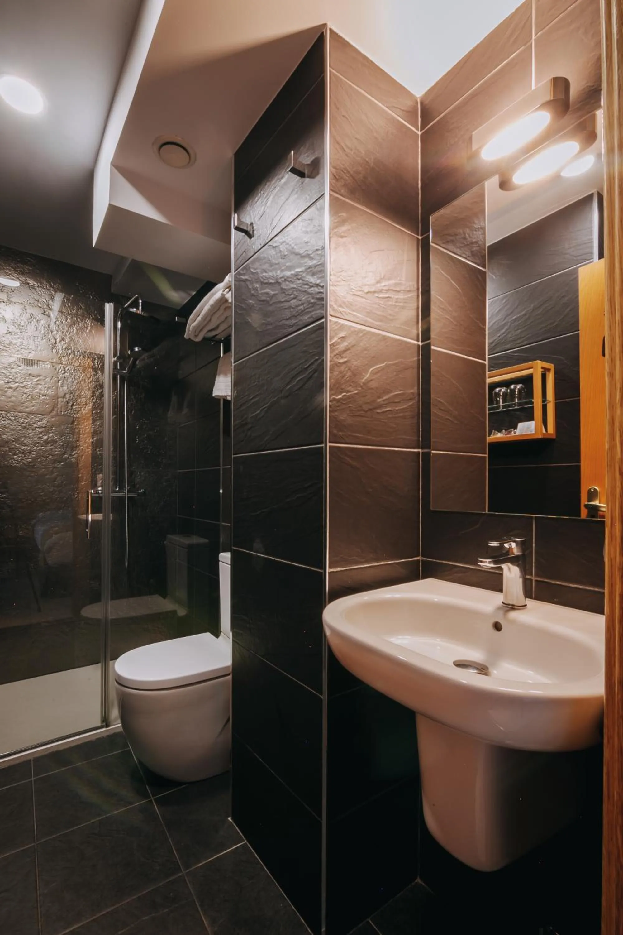 Toilet in Hotel Zaragoza Plaza