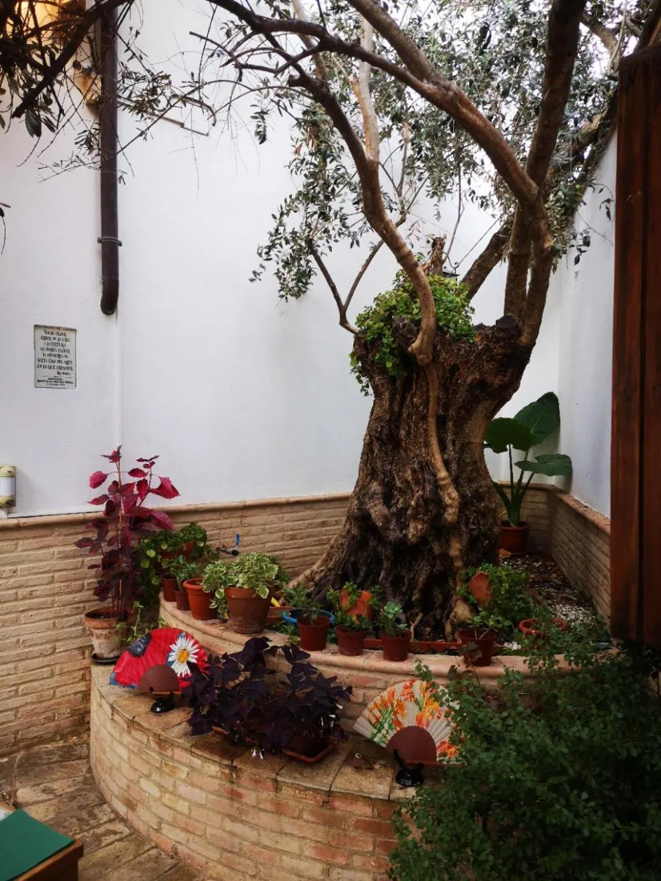 Spring in La Llave de la Judería Hotel Boutique