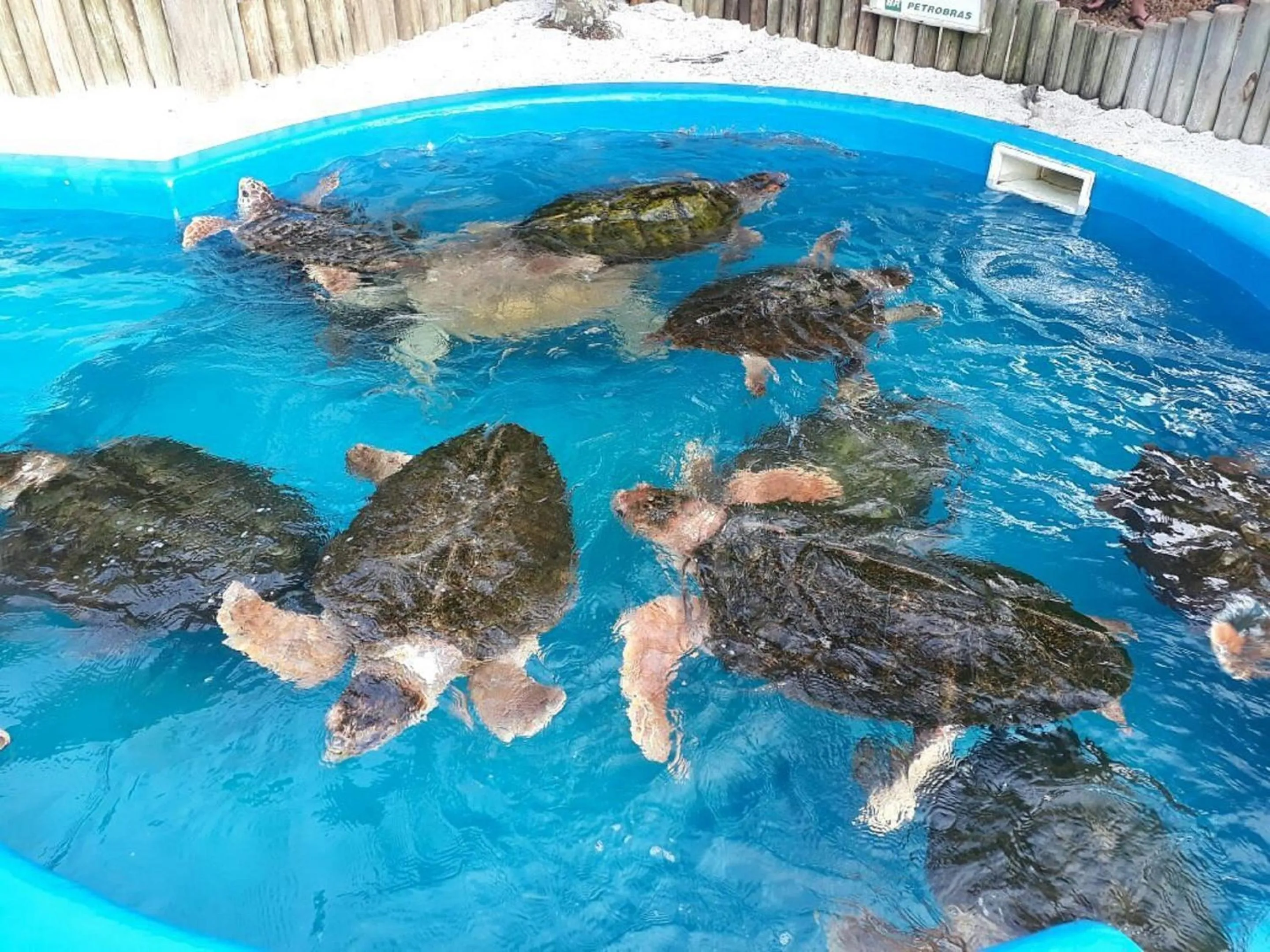 Beach in Pousada Ubatuba