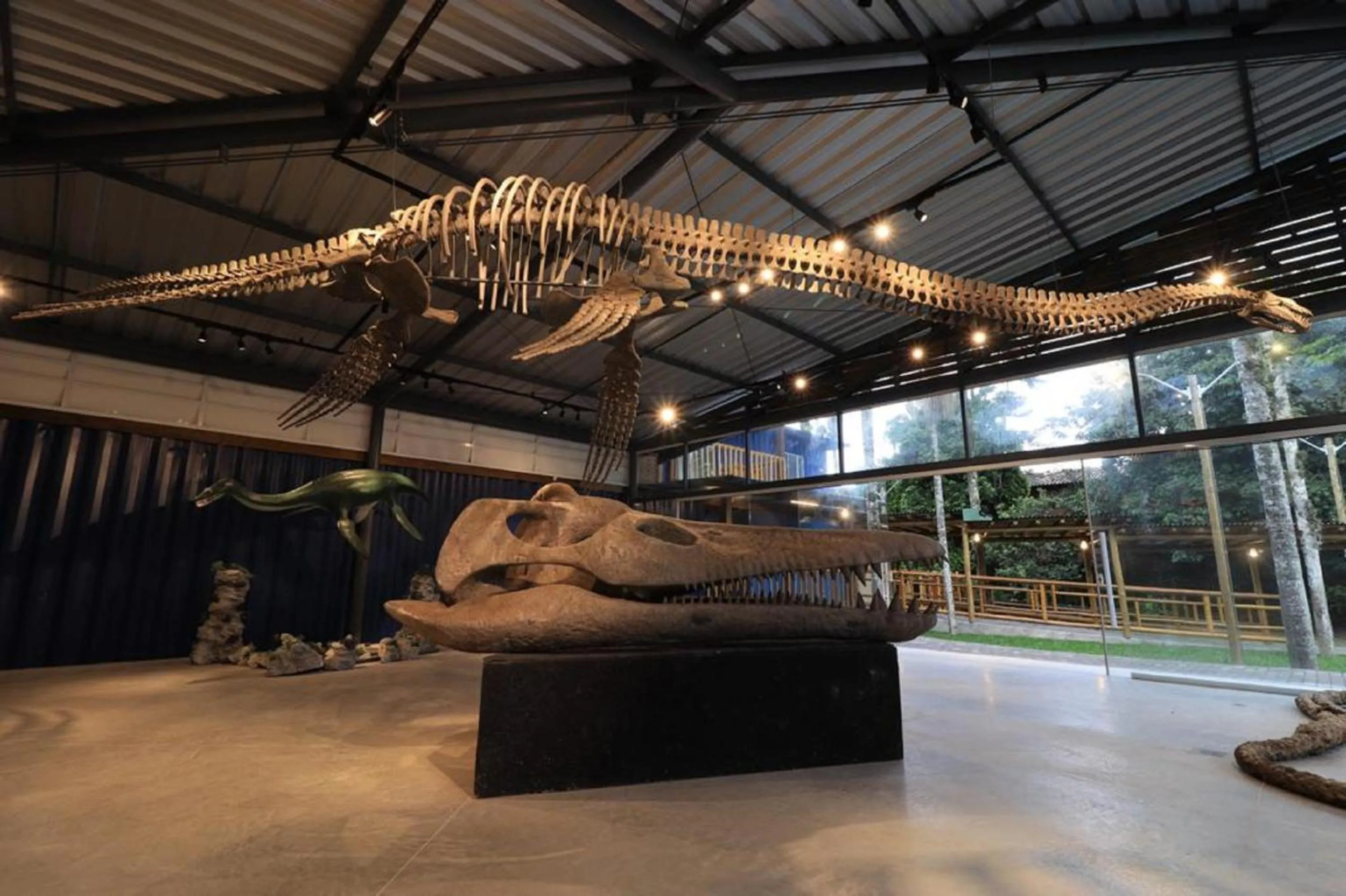 Beach in Pousada Ubatuba