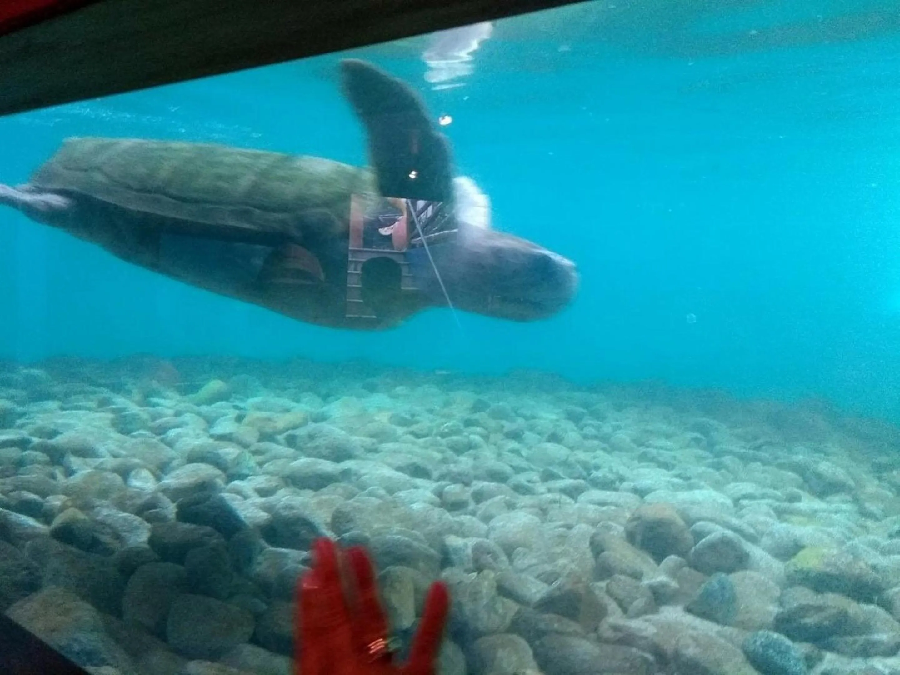 Beach in Pousada Ubatuba