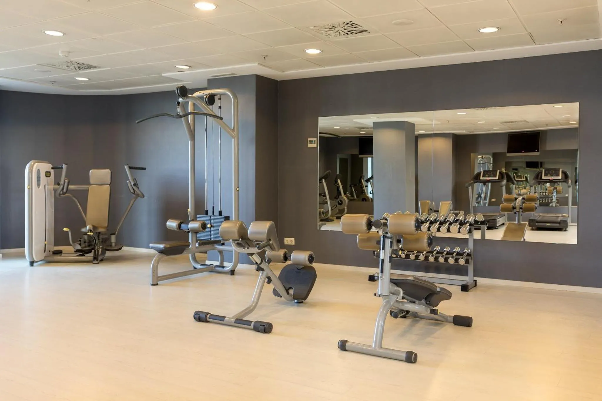 Fitness centre/facilities in Sercotel Sorolla Palace
