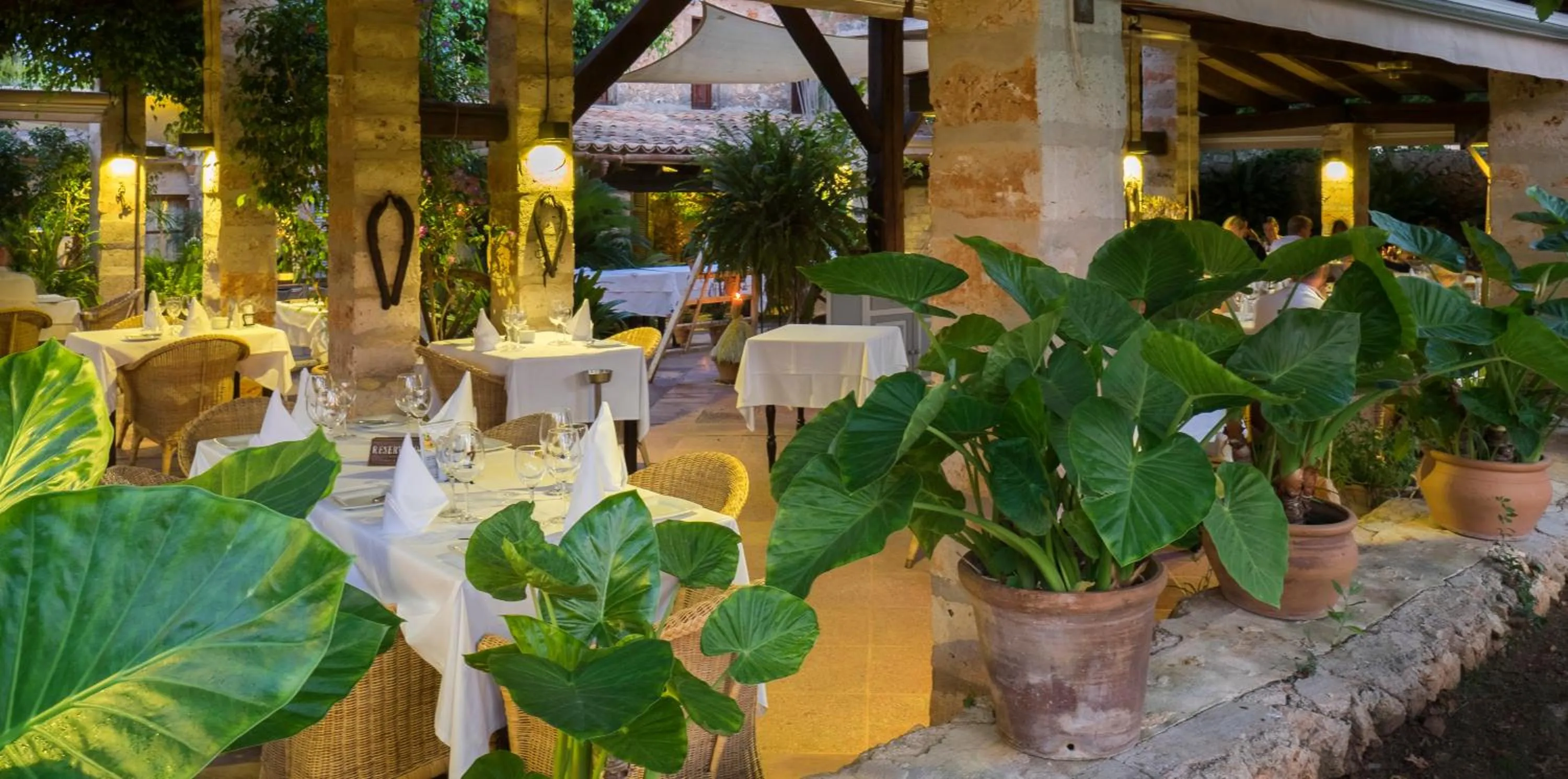 Restaurant/places to eat in Protur Residencia Son Floriana