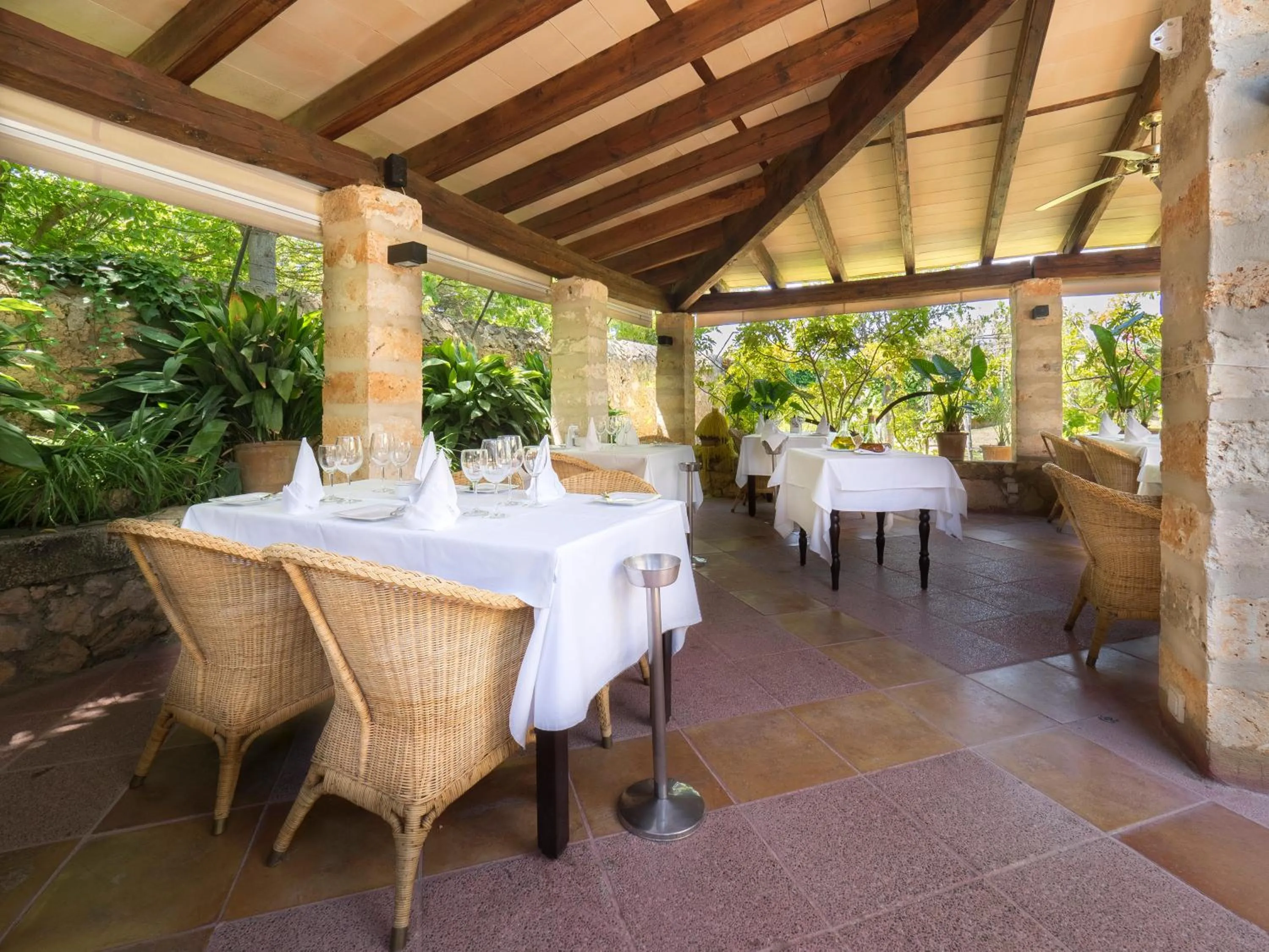 Restaurant/places to eat in Protur Residencia Son Floriana