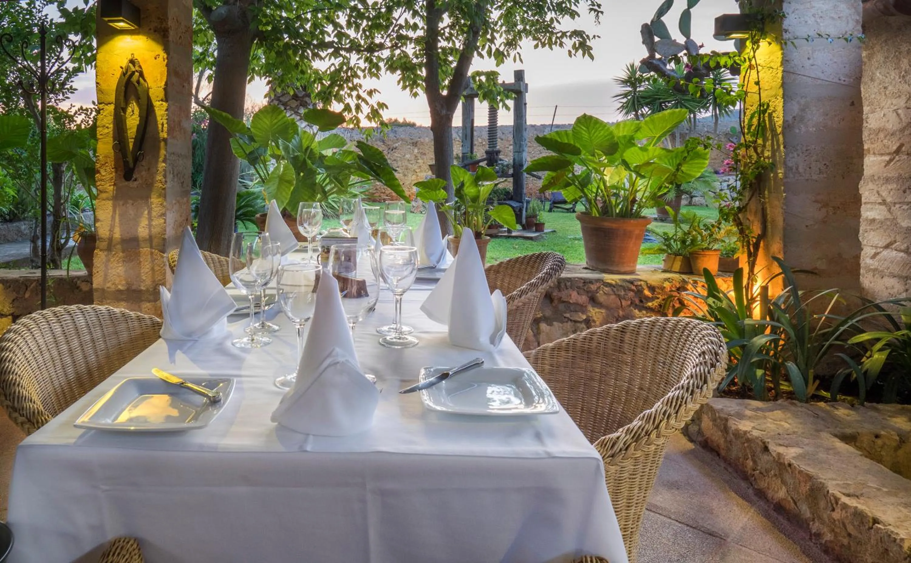 Restaurant/places to eat in Protur Residencia Son Floriana